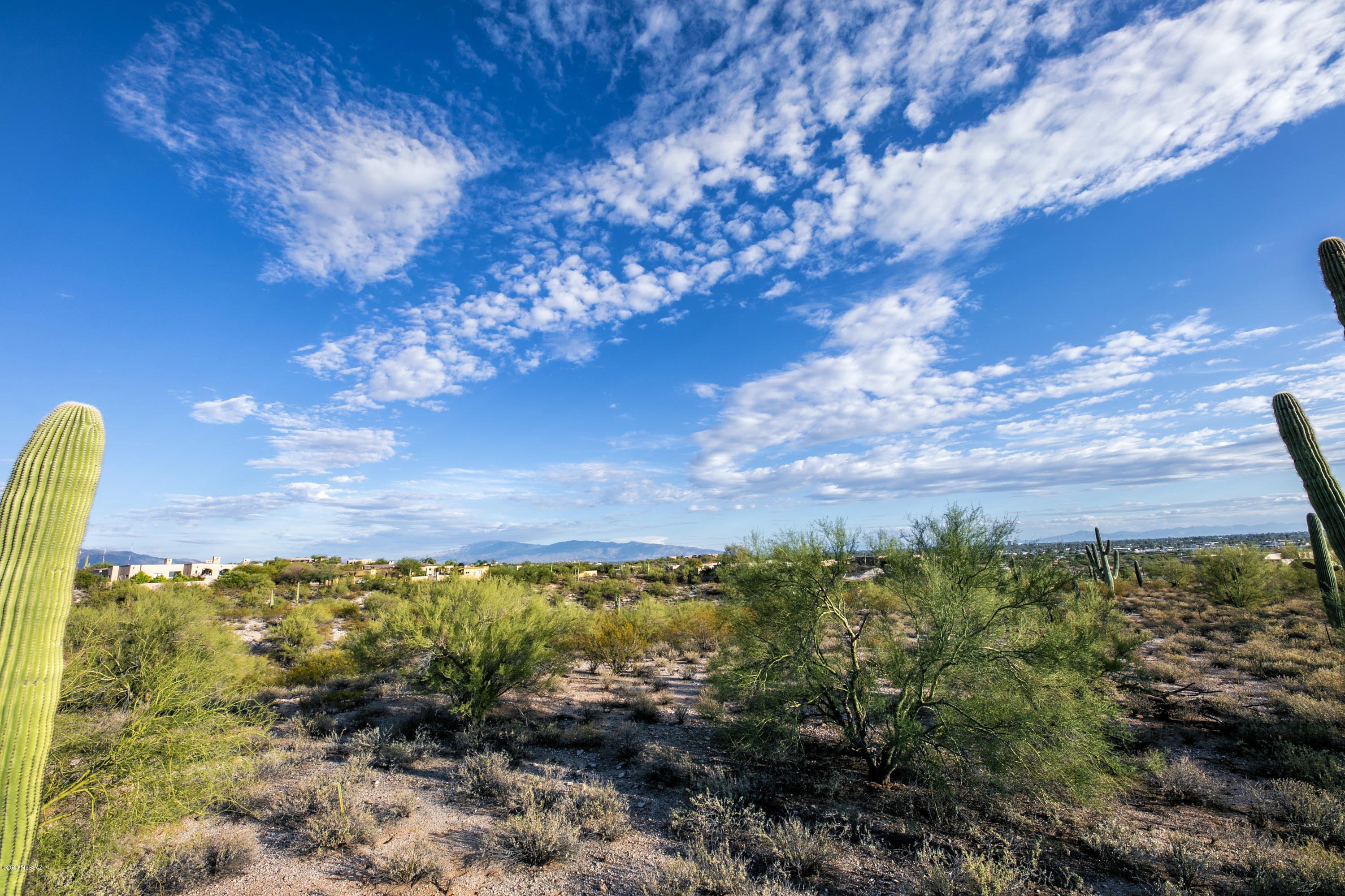 Catalina Foothills Estates #10 (259-278) - Land