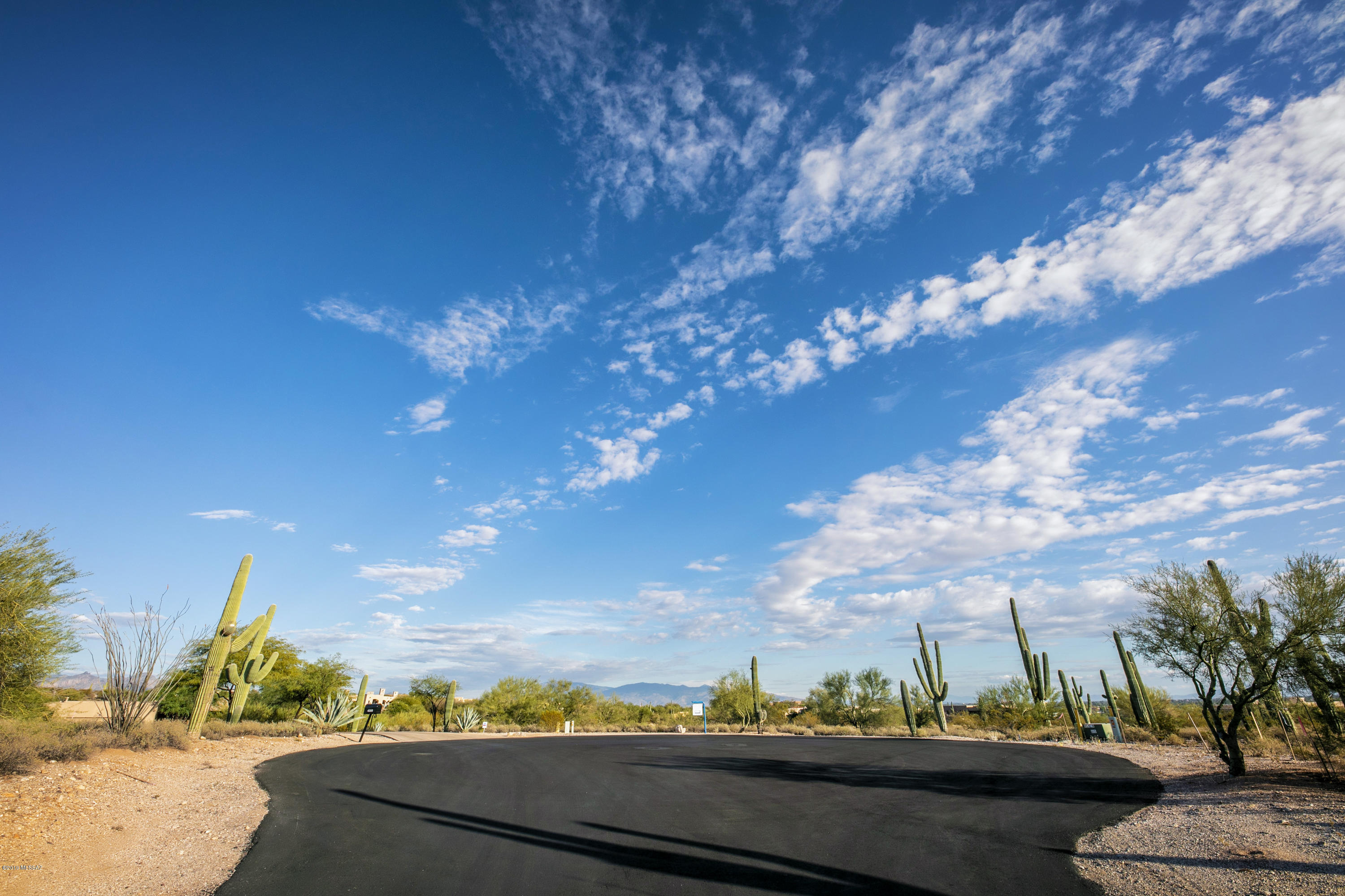 Catalina Foothills Estates #10 (259-278) - Land