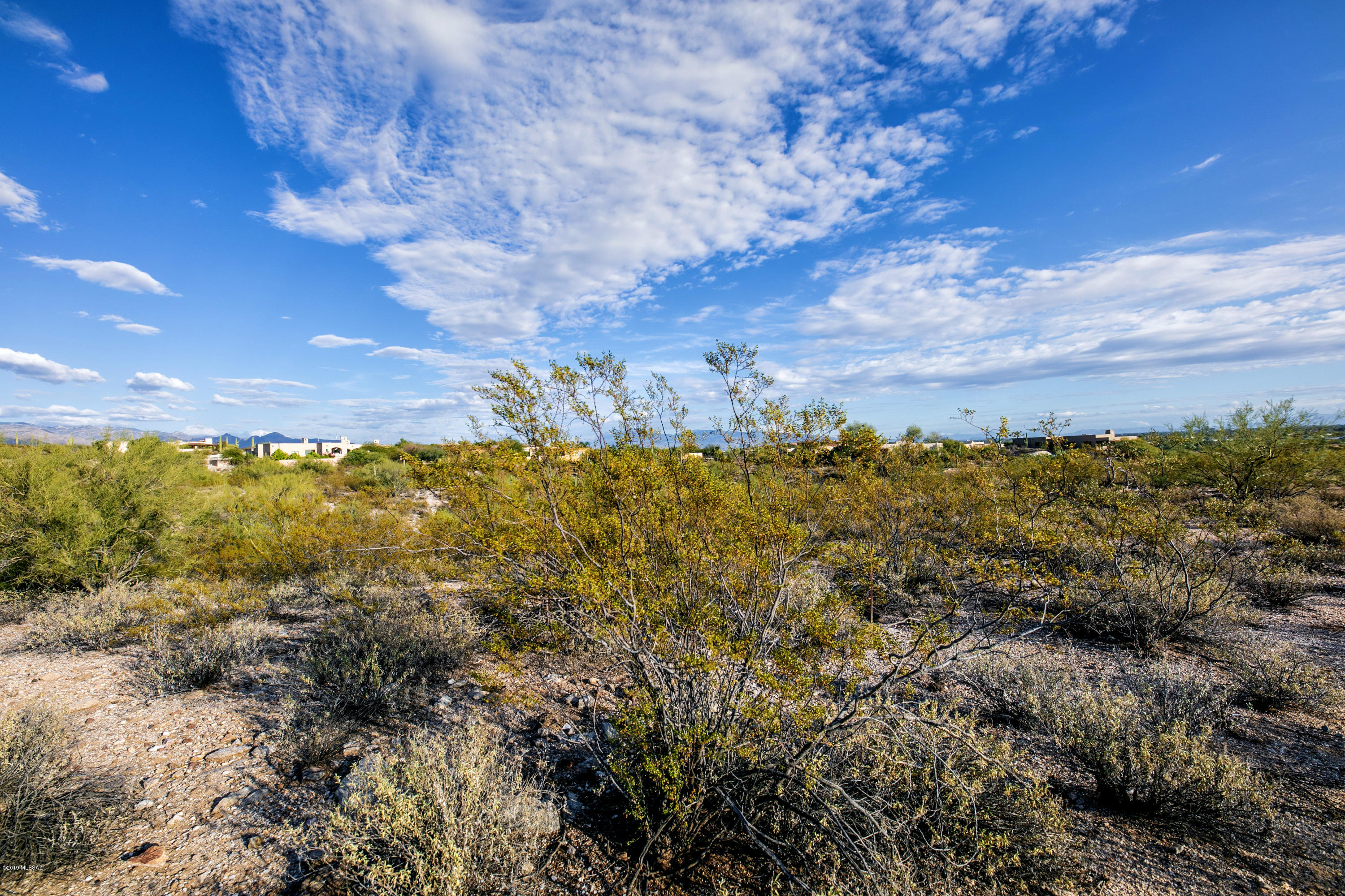 Catalina Foothills Estates #10 (259-278) - Land