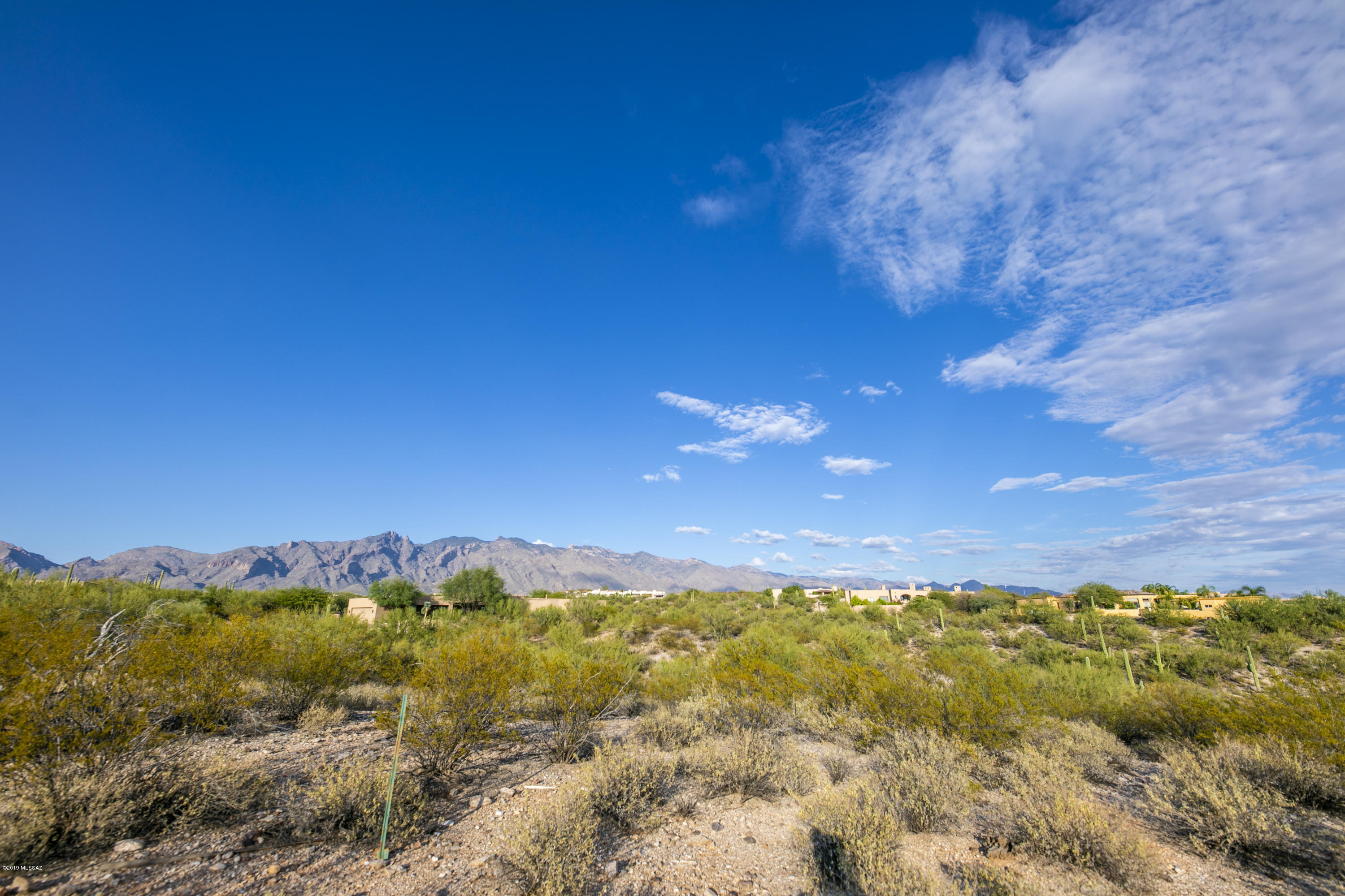 Catalina Foothills Estates #10 (259-278) - Land