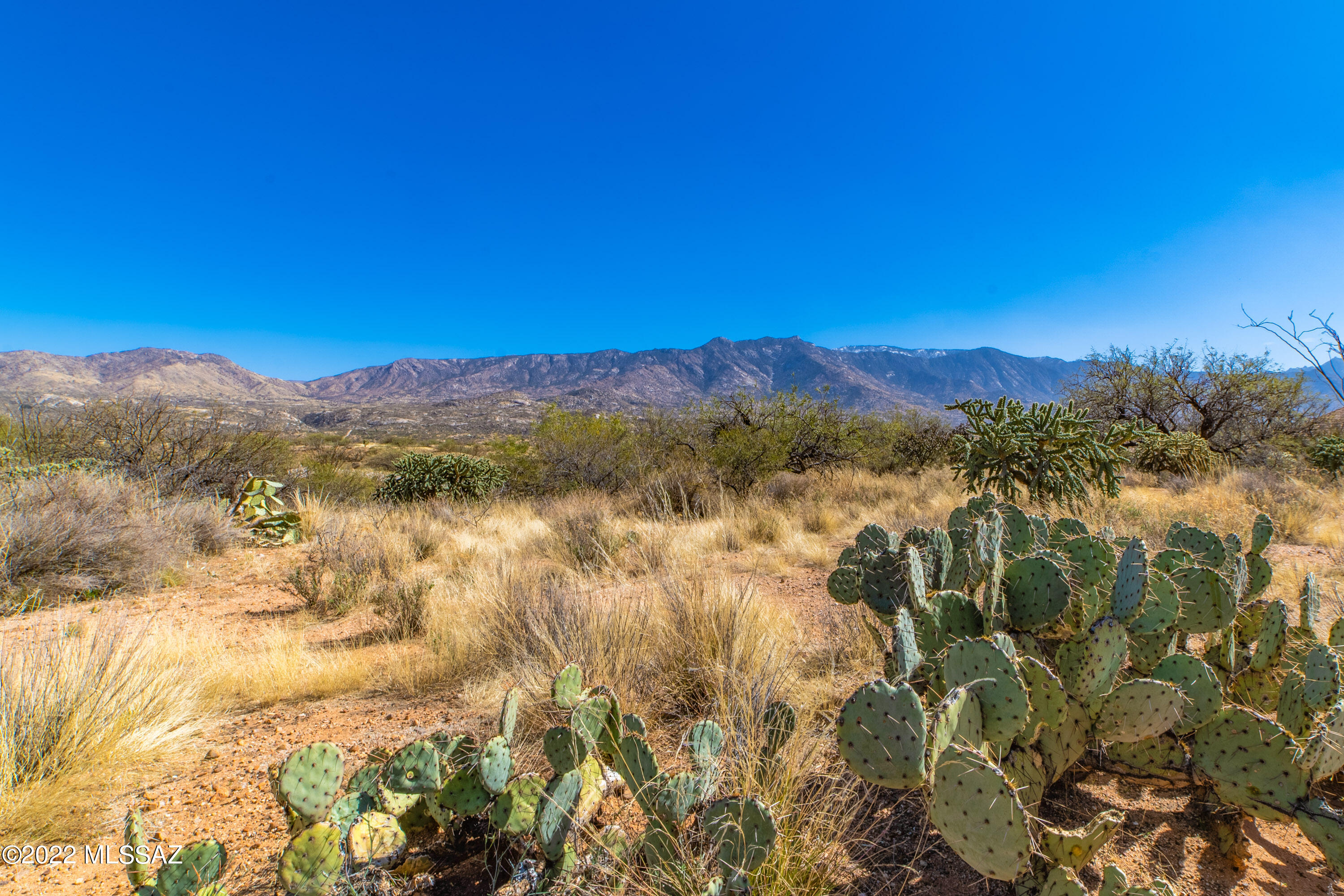 Mountain Vista Estates (1-38) - Land