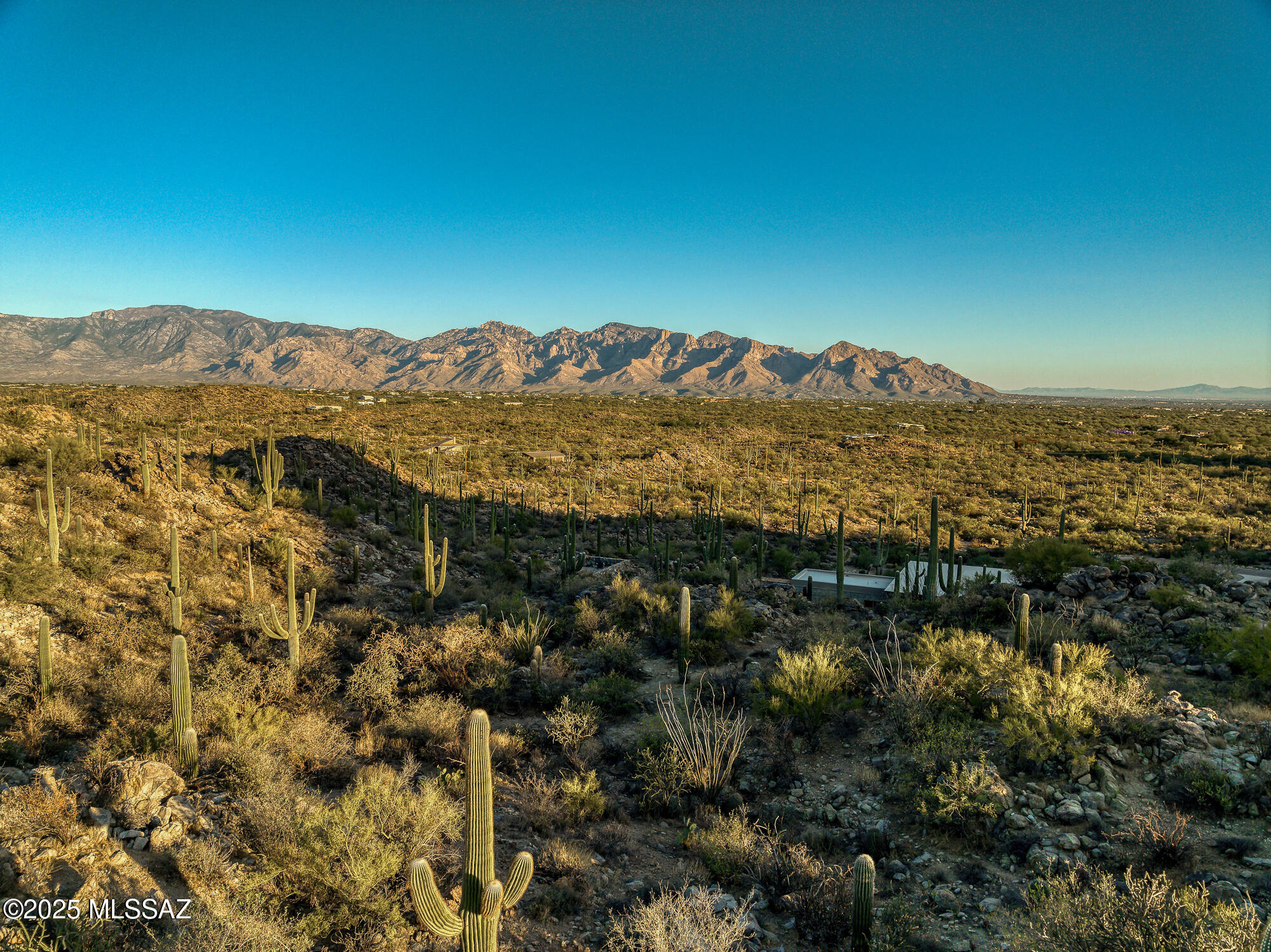 Saguaro Ranch South Amended - Land