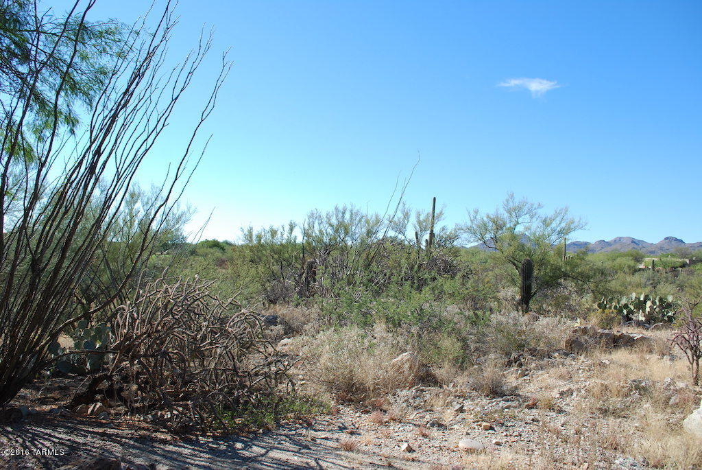 Vistoso Highlands (1-68) - Residential Lease