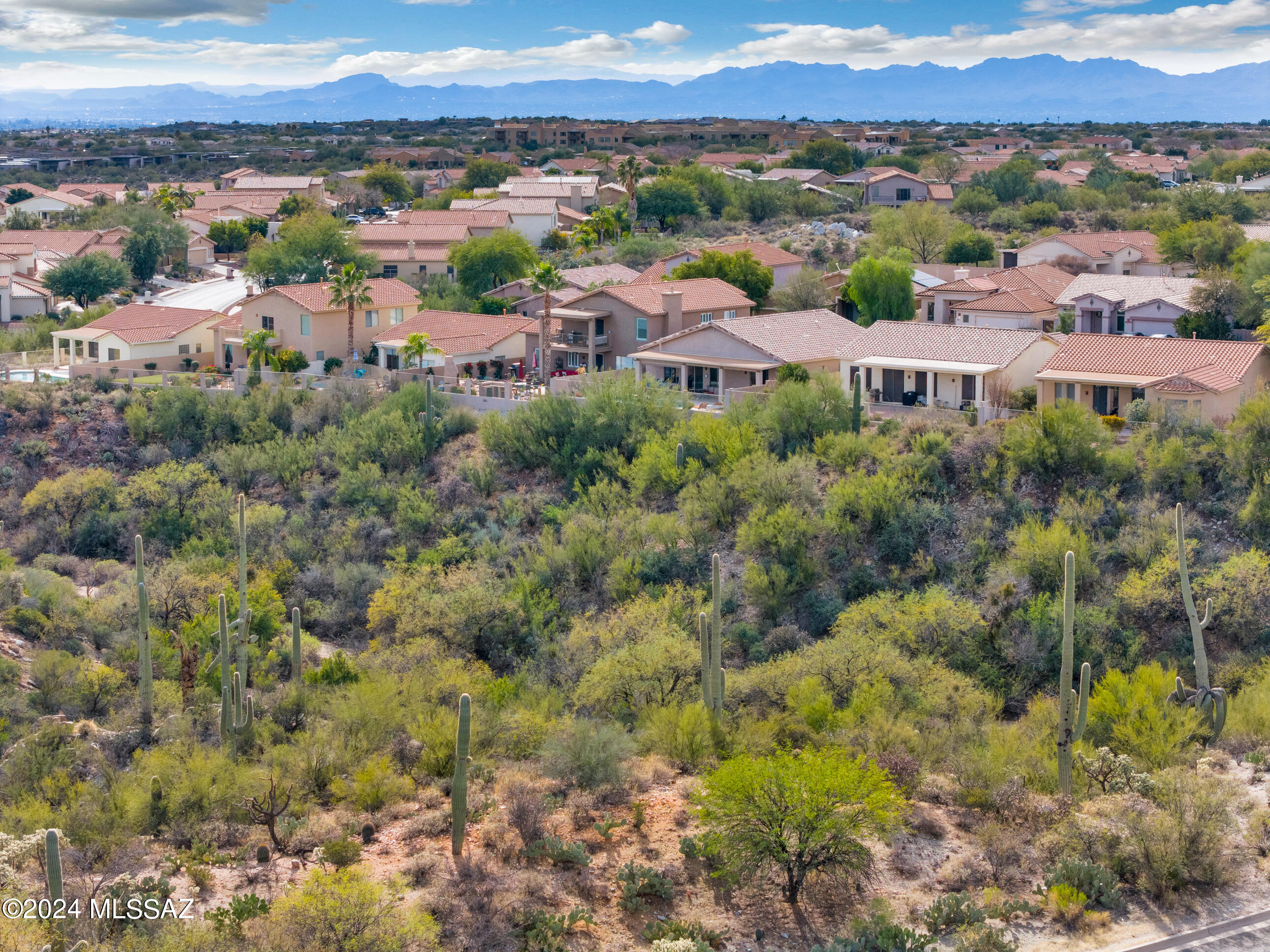 Rancho Vistoso Nghborhd5 - Residential