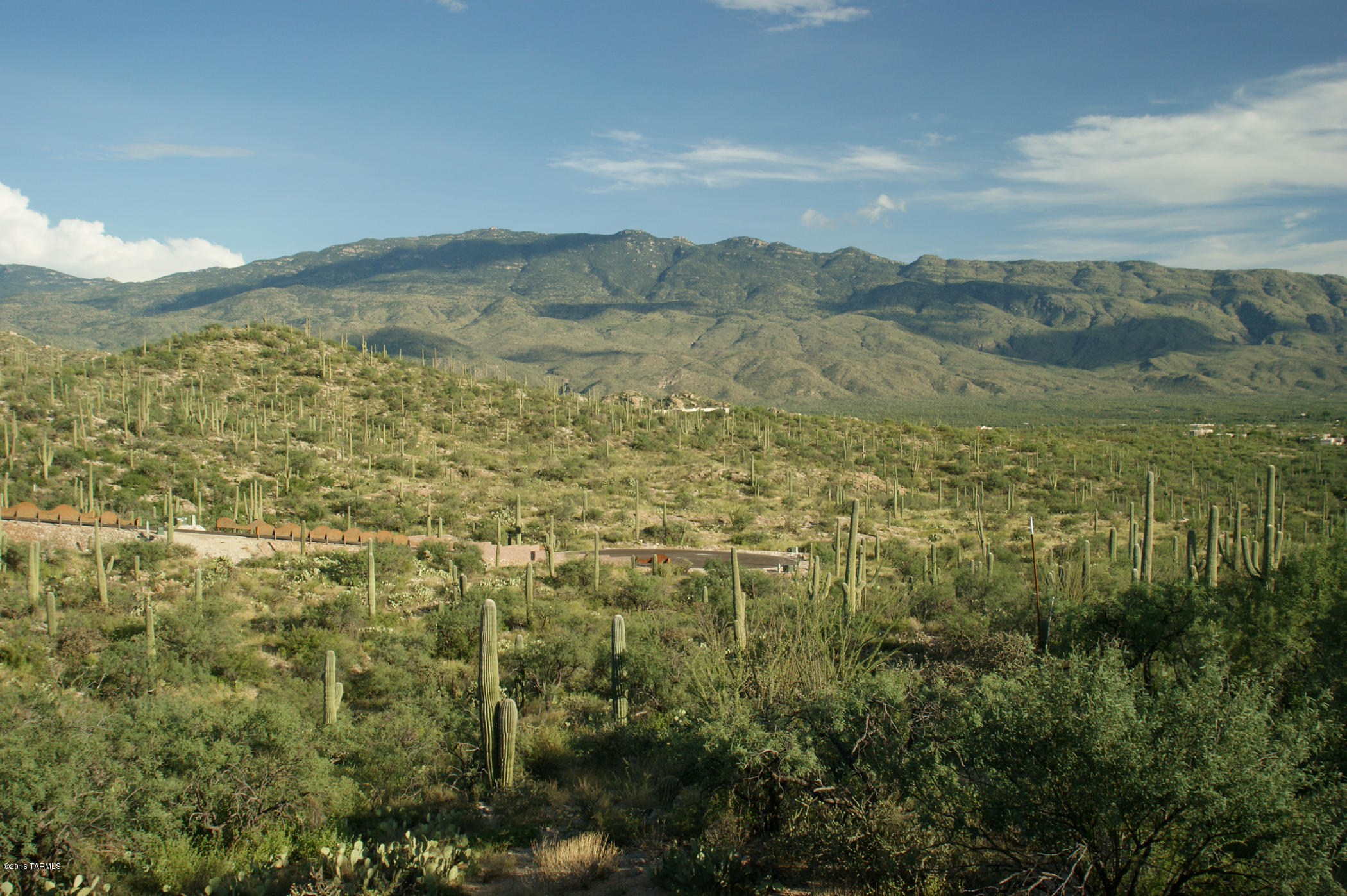 Rinconado Estates (1-13) - Land
