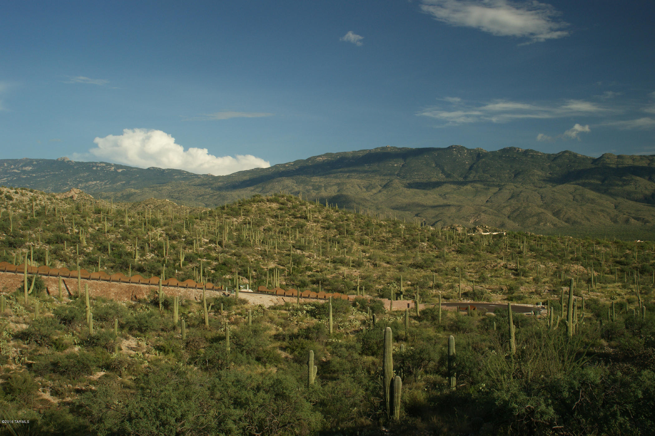 Rinconado Estates (1-13) - Land