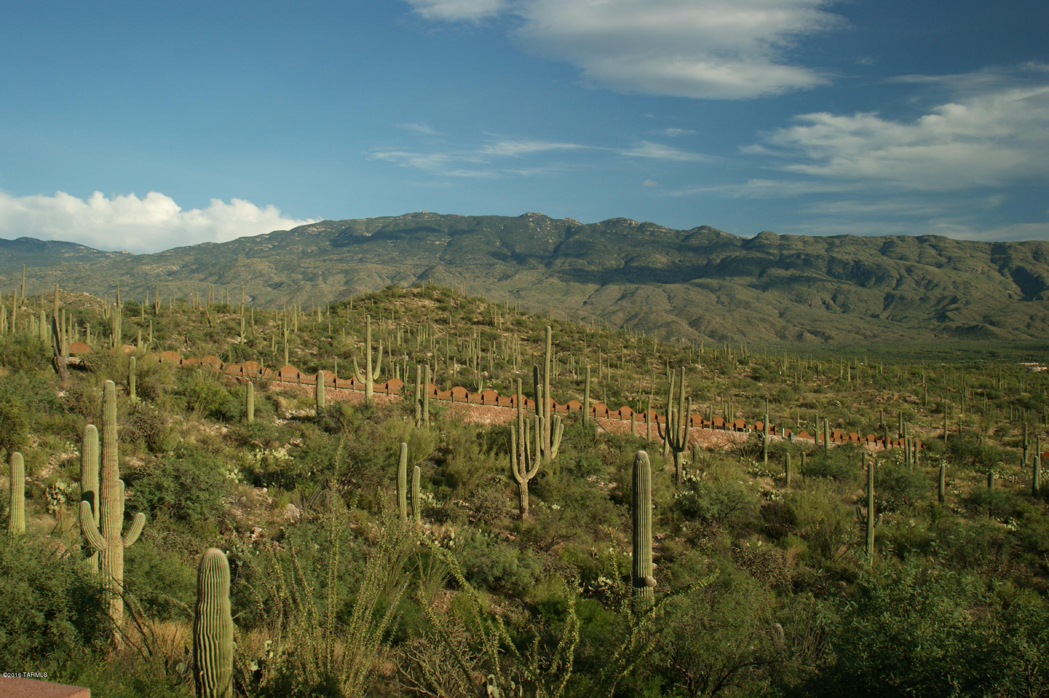 Rinconado Estates (1-13) - Land