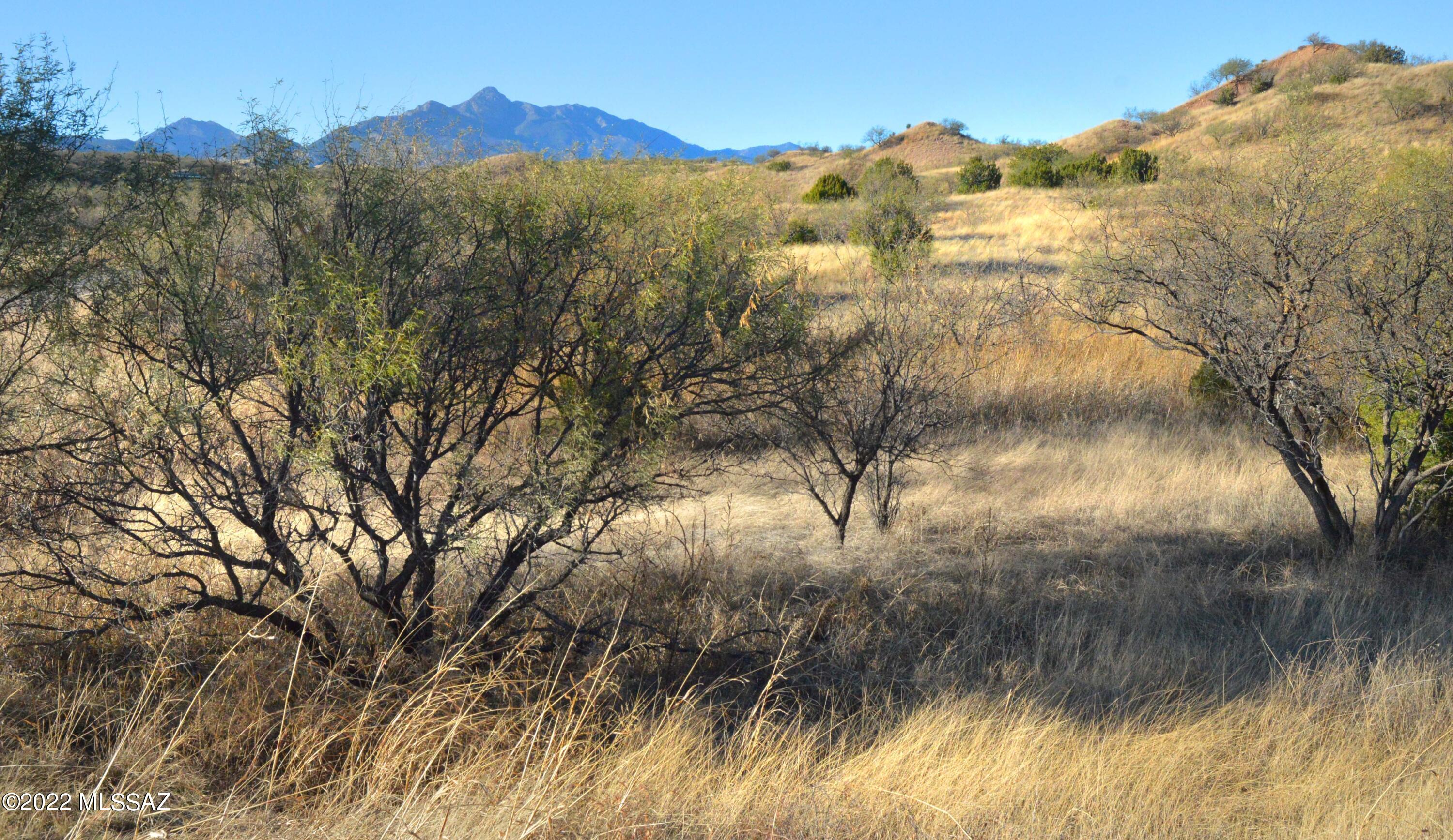 Three Canyons - Land