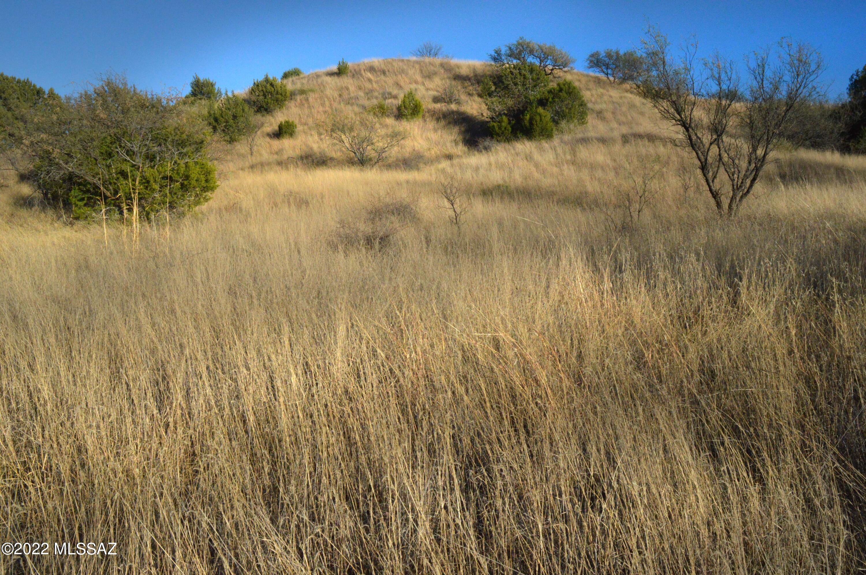 Three Canyons - Land