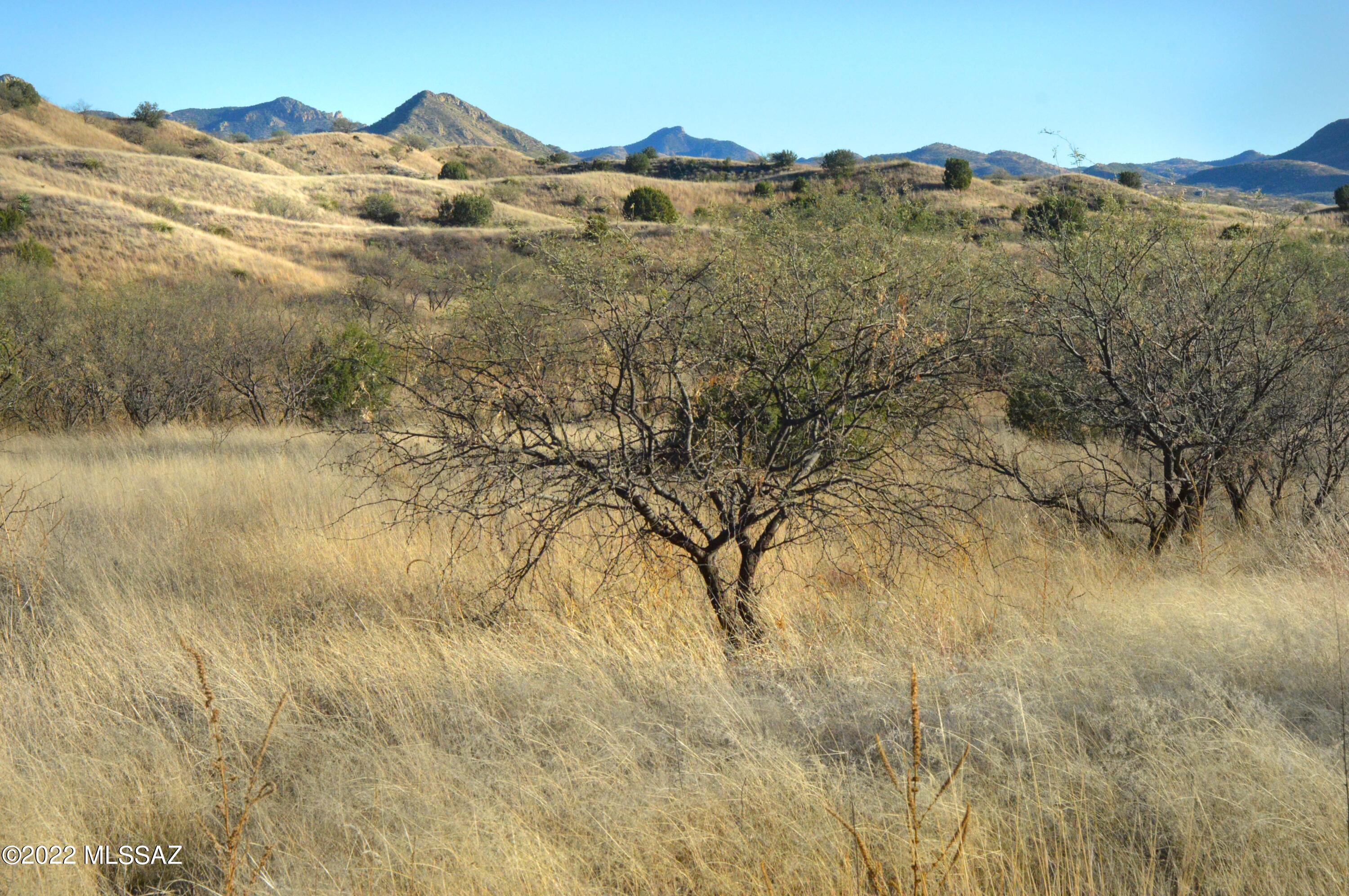 Three Canyons - Land