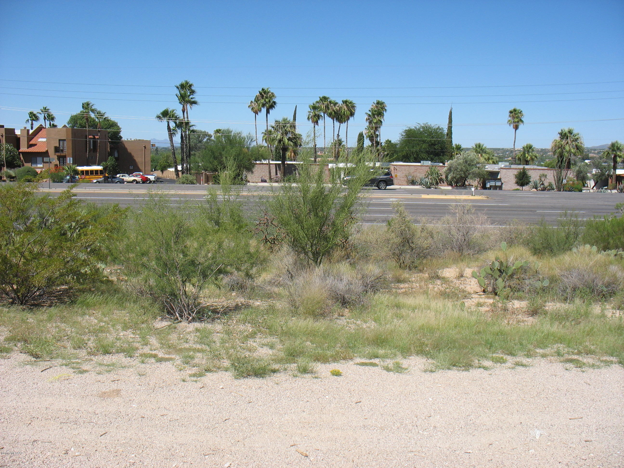 Shadow Mountain Estates - East - Land