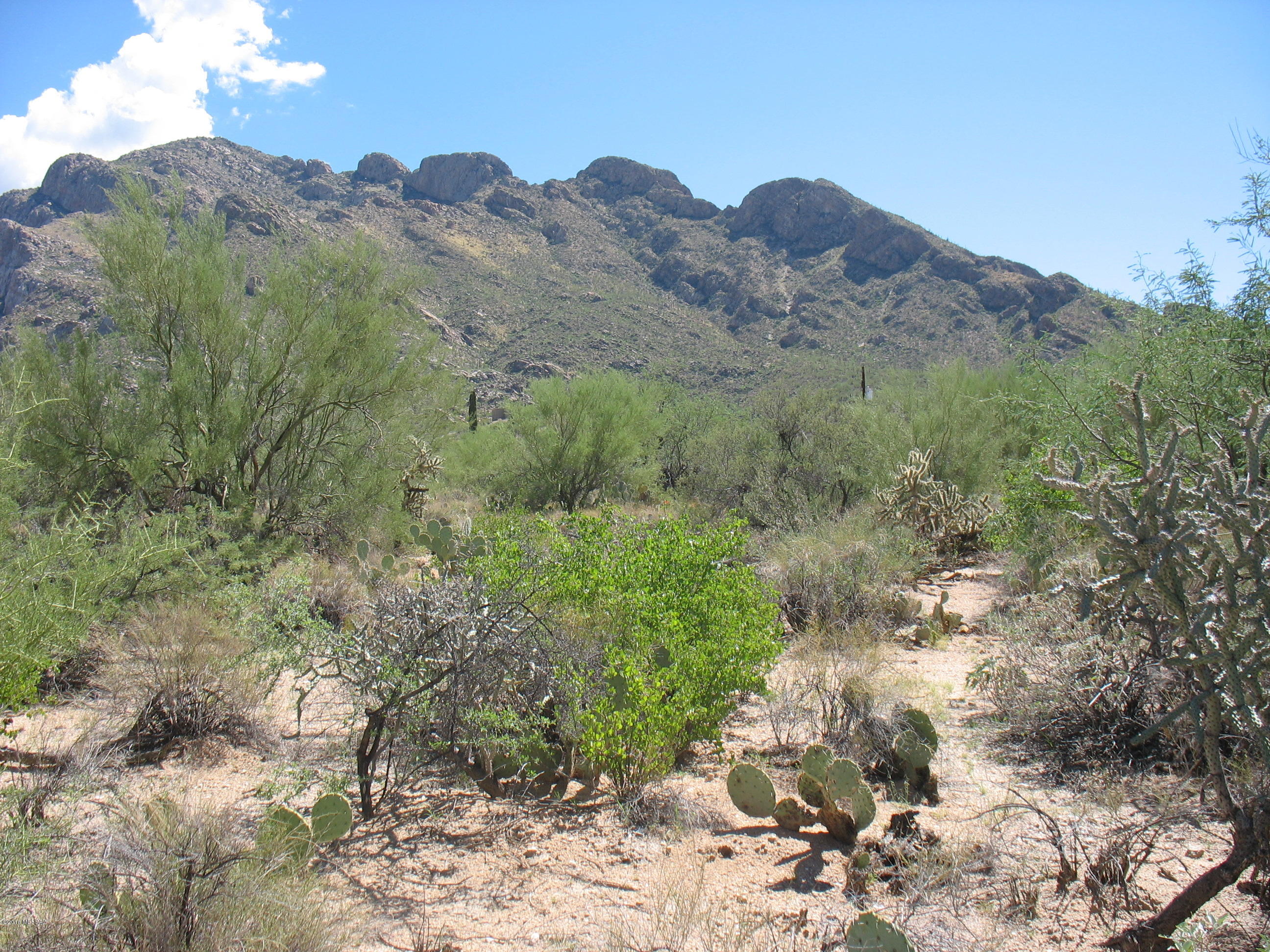 Shadow Mountain Estates - East - Land