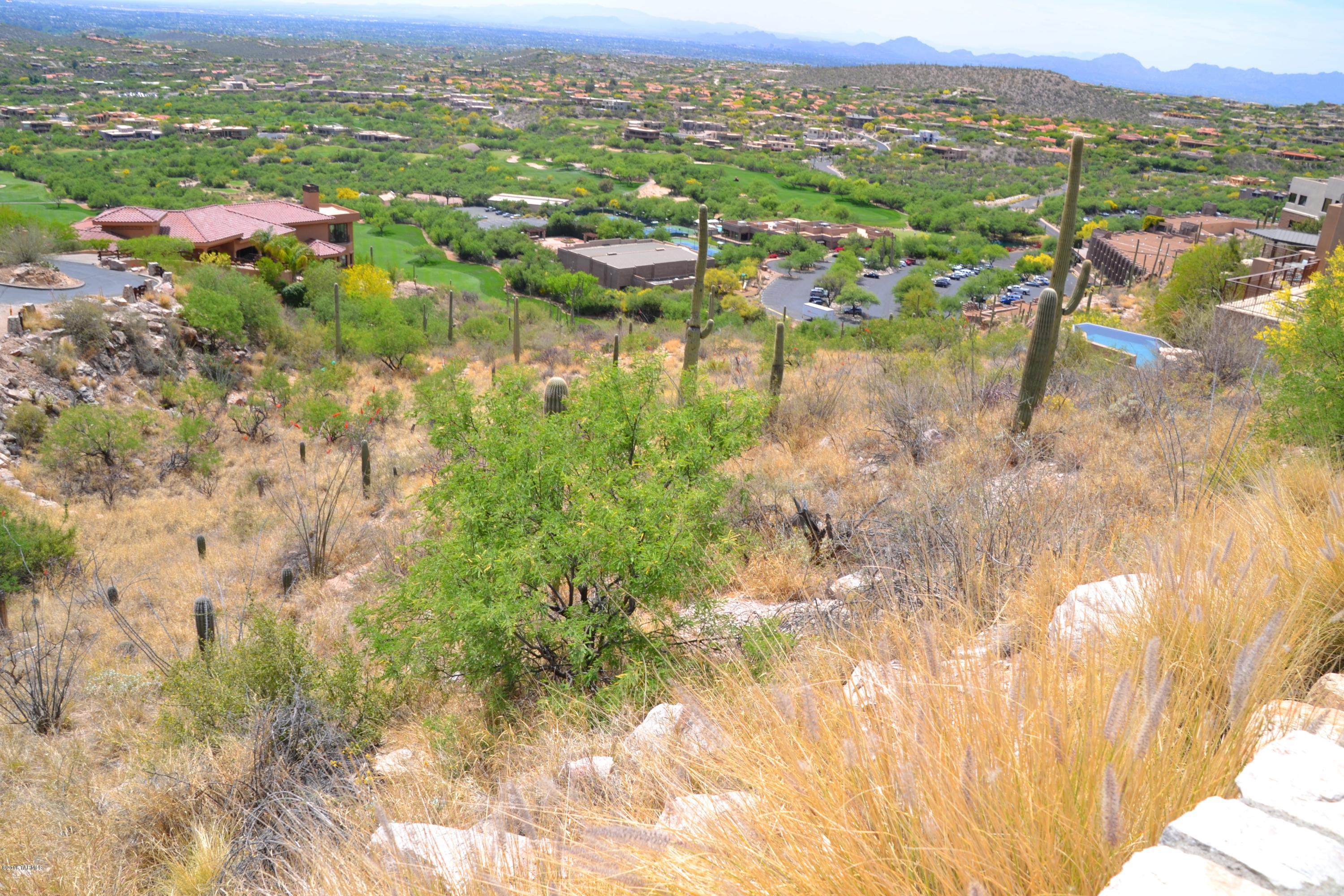 Ventana Canyon Mountain Estate (1-73) - Land