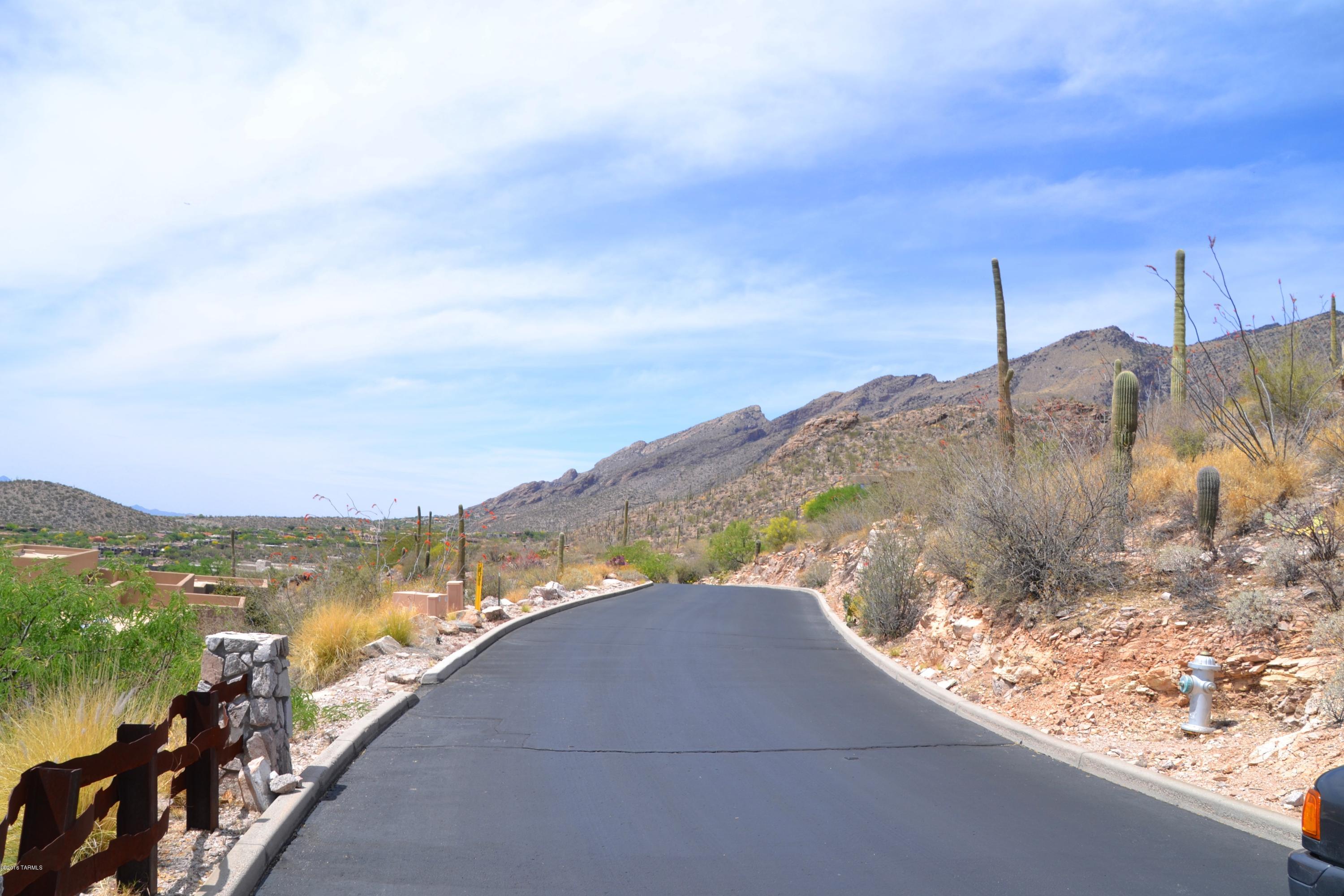 Ventana Canyon Mountain Estate (1-73) - Land