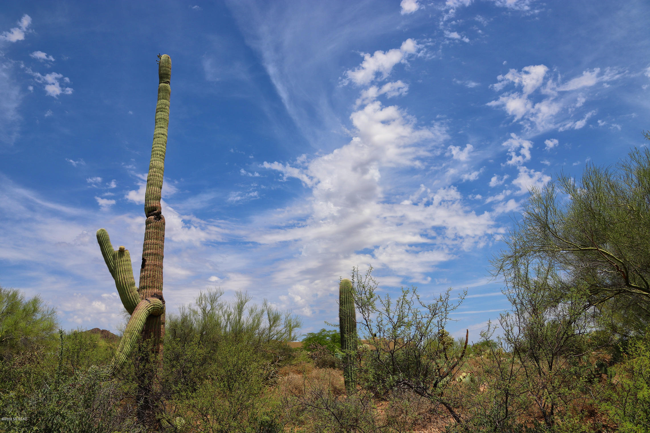 Saguaro Cliffs (1-61) - Land