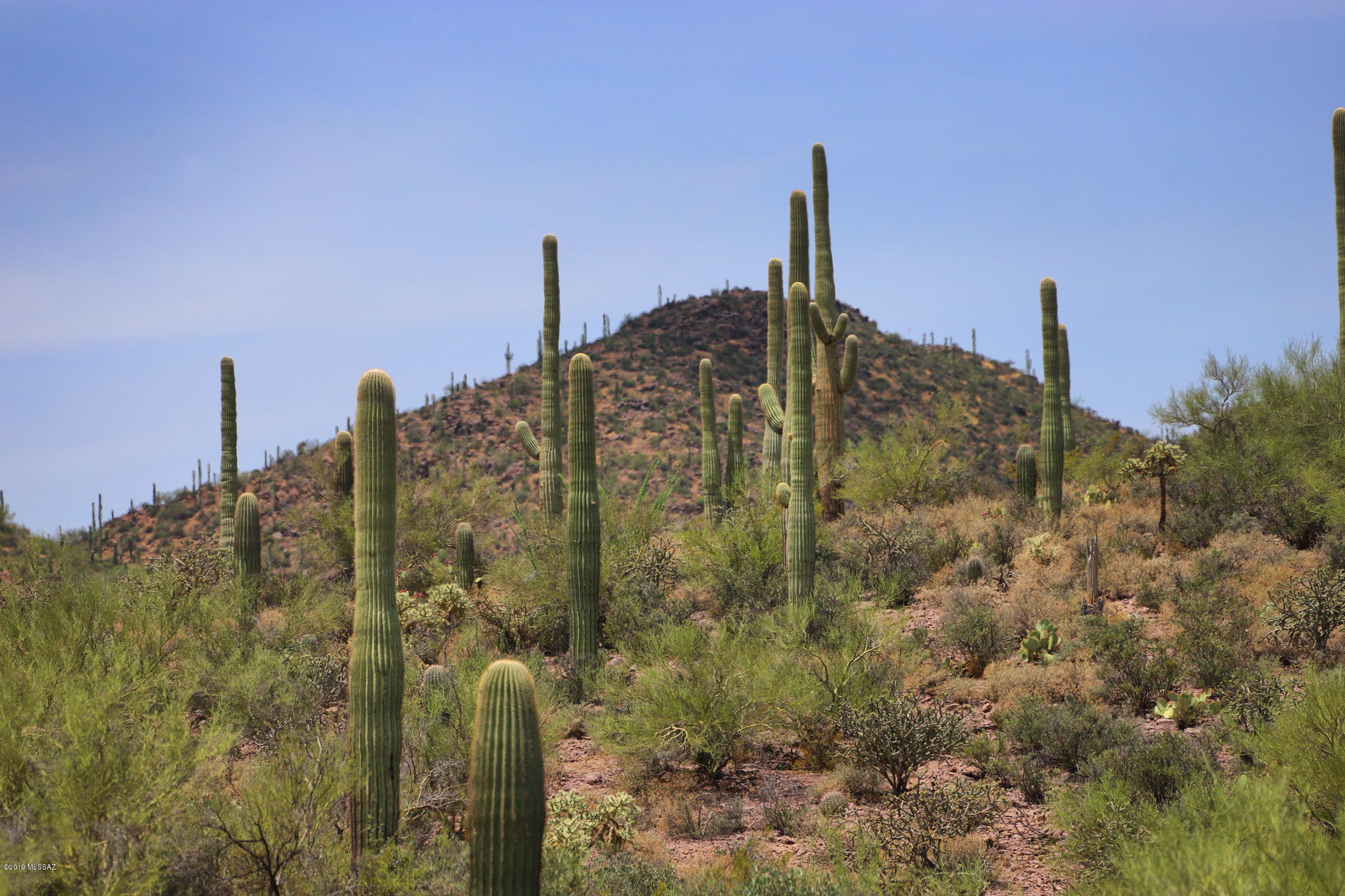 Saguaro Cliffs (1-61) - Land