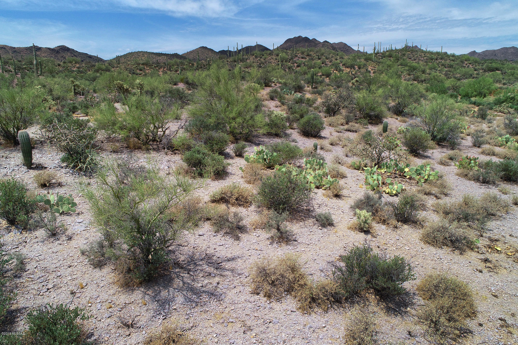 Saguaro Cliffs (1-61) - Land