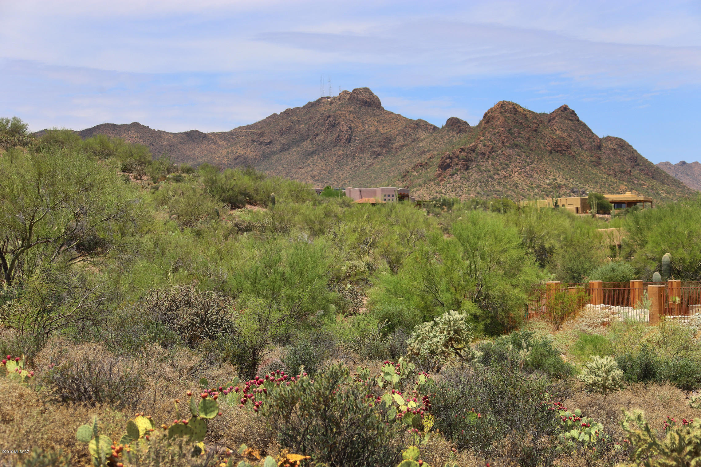 Saguaro Cliffs (1-61) - Land