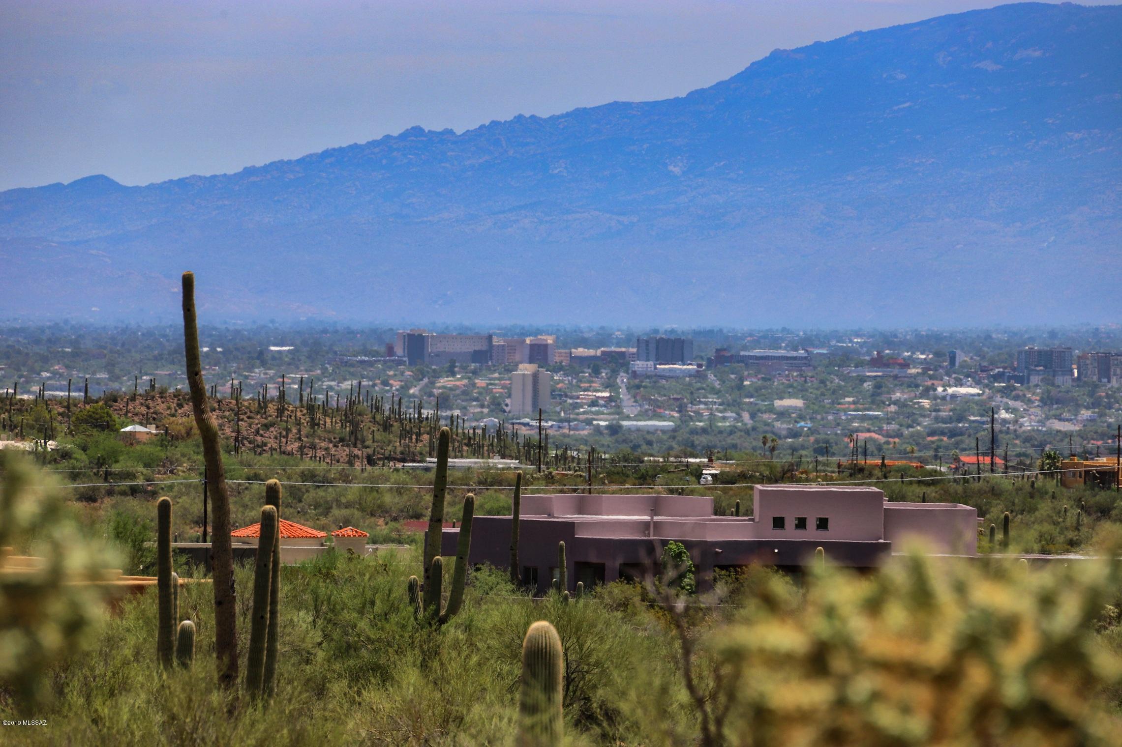 Saguaro Cliffs (1-61) - Land