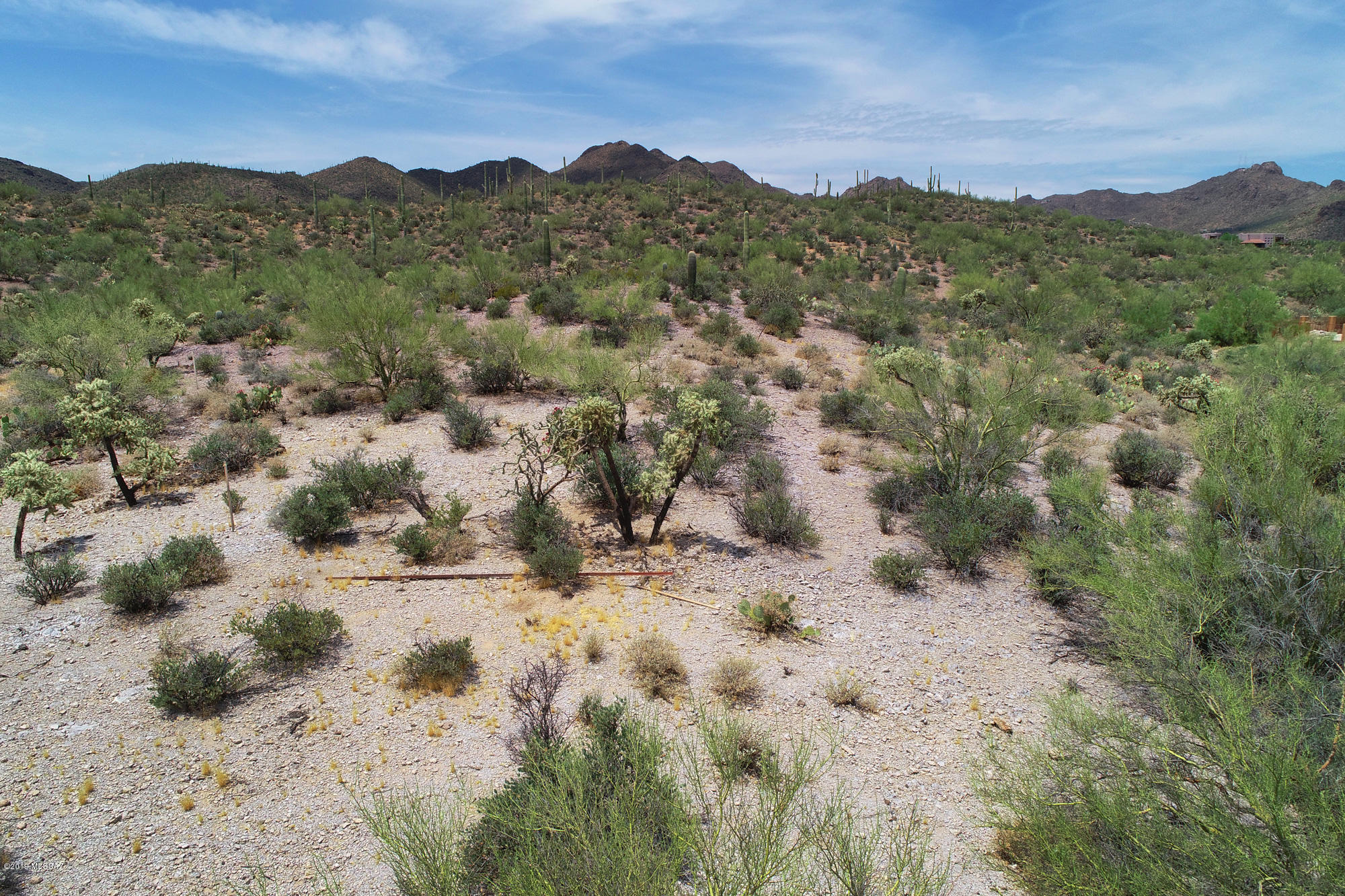 Saguaro Cliffs (1-61) - Land
