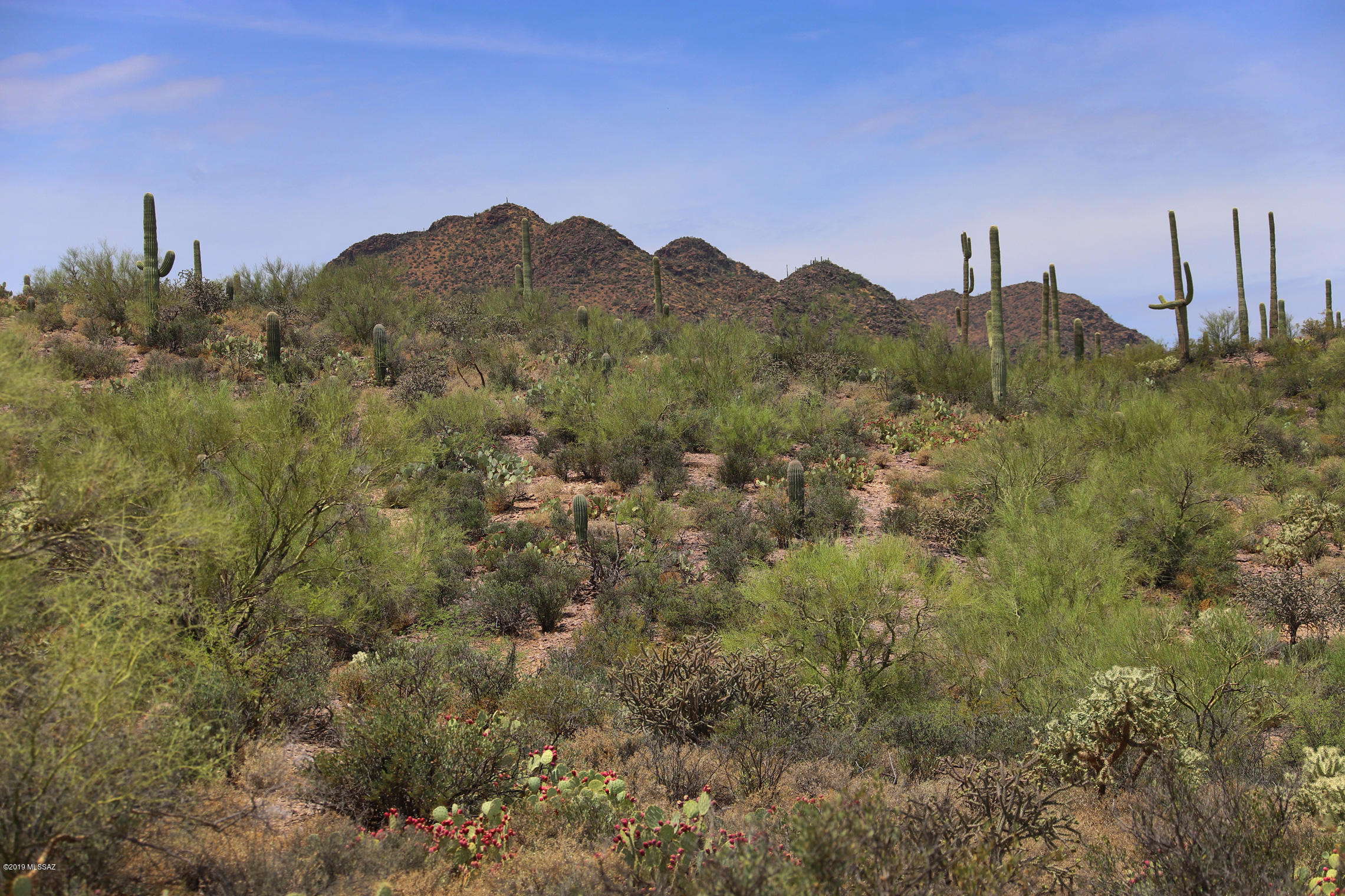 Saguaro Cliffs (1-61) - Land