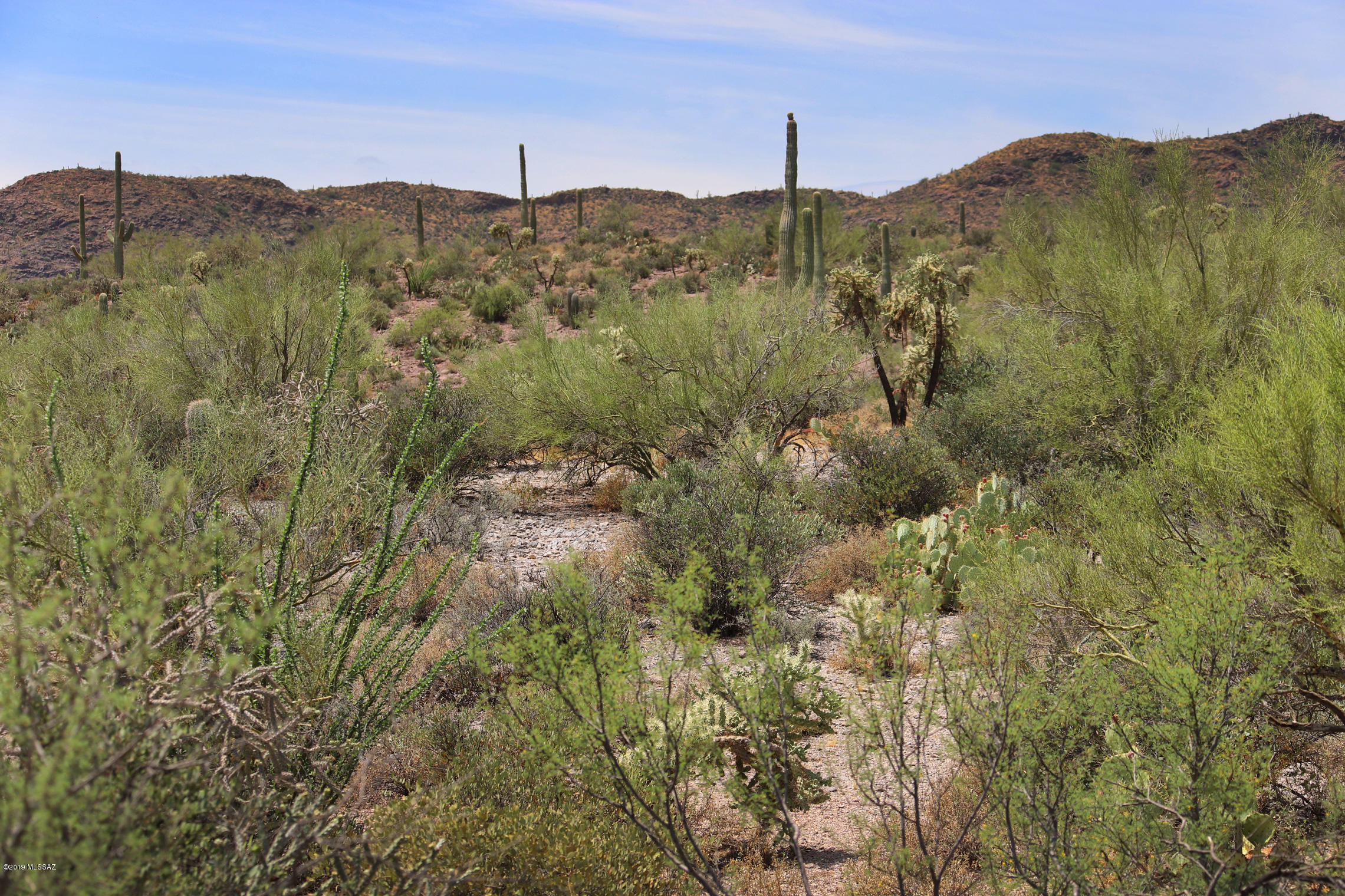 Saguaro Cliffs (1-61) - Land