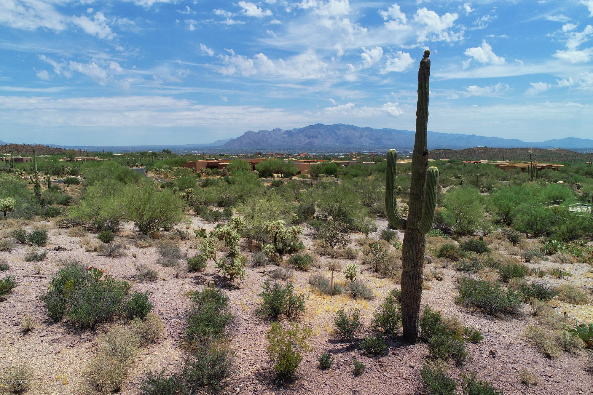 Saguaro Cliffs (1-61) - Land