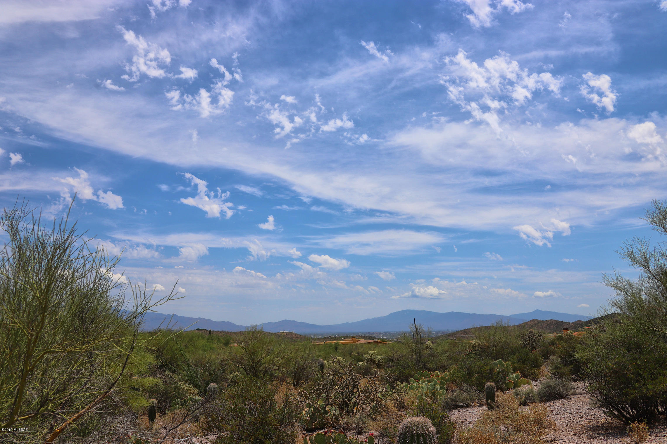 Saguaro Cliffs (1-61) - Land