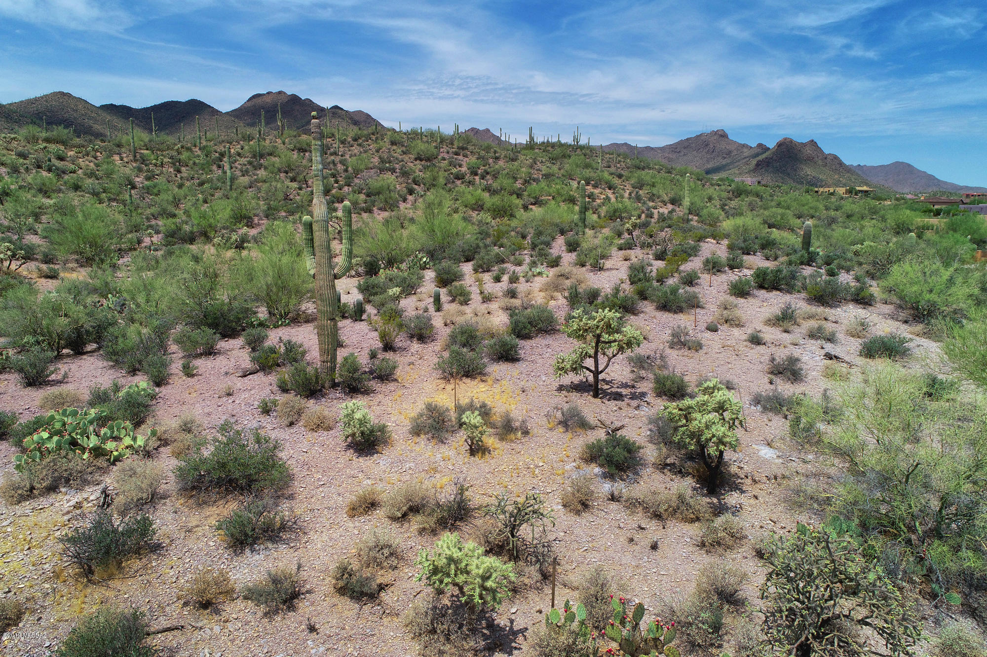 Saguaro Cliffs (1-61) - Land