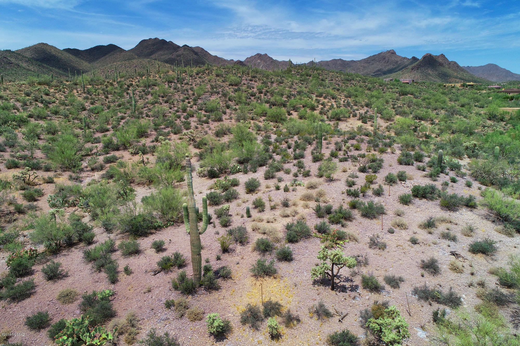 Saguaro Cliffs (1-61) - Land