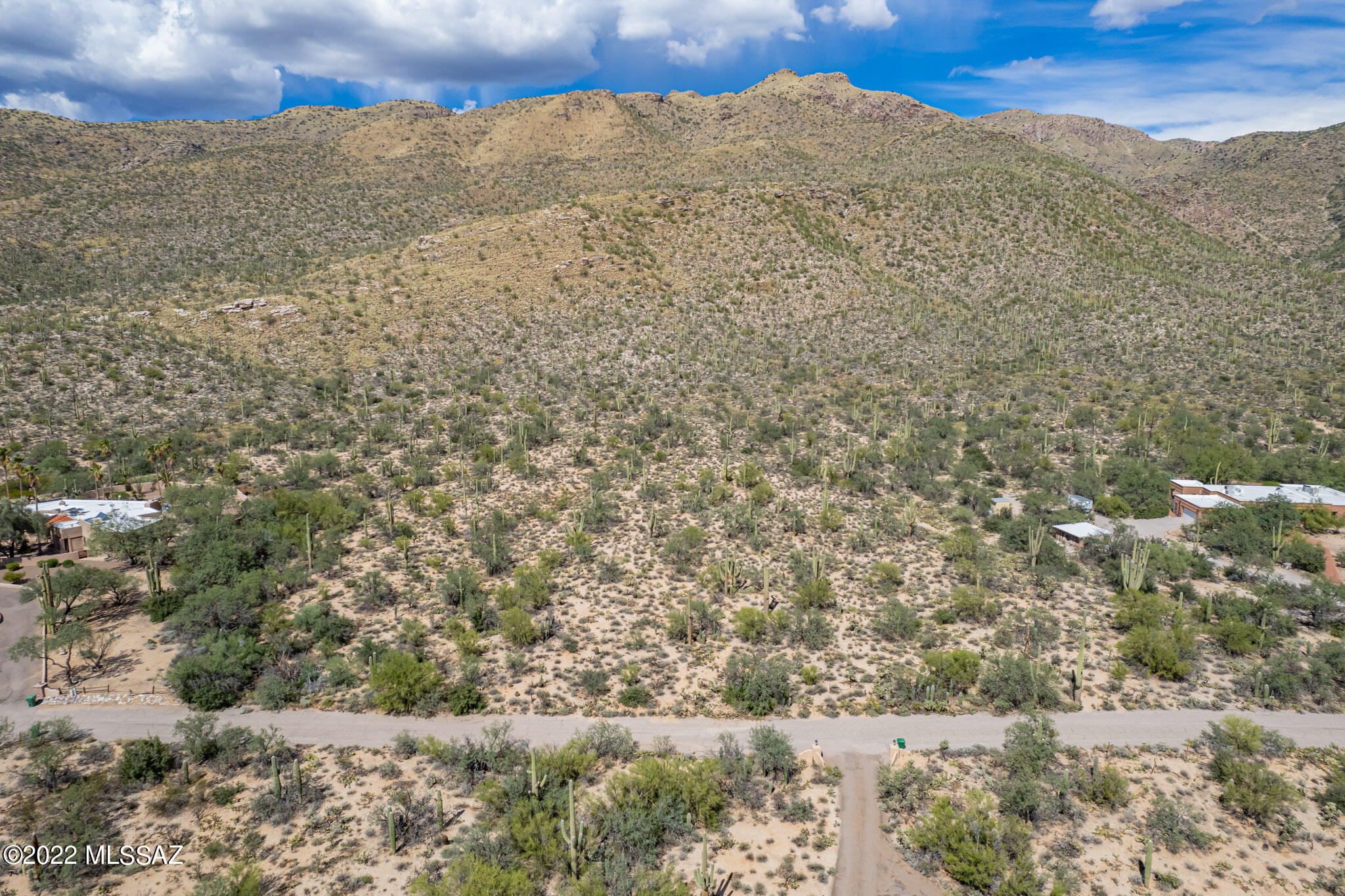 Beautiful saguaro studded lot up against the mountain with big views in the Homestead w paved street. Build your dream house on a great  lot with plenty of open space. Far enough away yet close to shopping, restaurants and schools in beautiful Tanque Verde Valley.