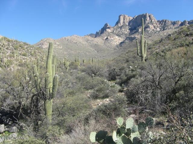 Magical, simply MAGICAL!  16 acs of pristine Sonoran vegetation BORDERED by NATIONAL FOREST and surrounded by hundreds of acres of natural area in La Reserve.  A hikers dream, a desert sanctuary theme.  THRILLING Pusch Ridge and the infamous ‘saddle’ vistas.  Sparkling ORO VALLEY LIGHTS and Tortolita Mtns to the west.  FLAT TOPO in bldg area; end of cul-de-sac setting. Combine privacy, security (gated) and the SPIRIT, beauty and CULTURE of the Southwest.  Follow orange flags to best bldg area. Previously listed at $1 million!!!