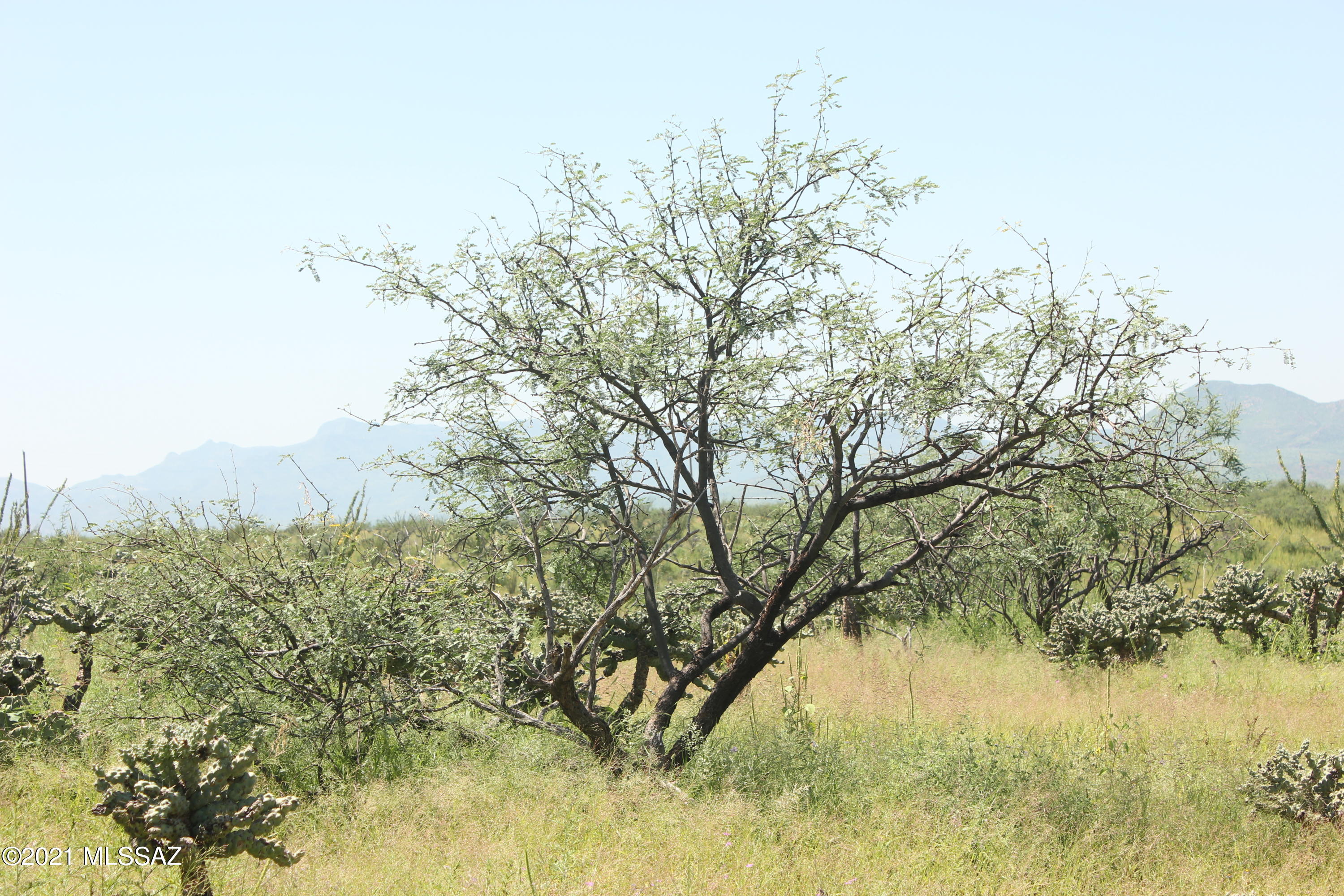 Rio Rico Ranchettes 18 - Land