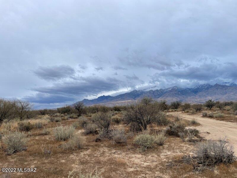 Out Of Pima County - Land