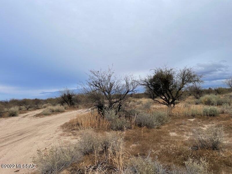 Out Of Pima County - Land
