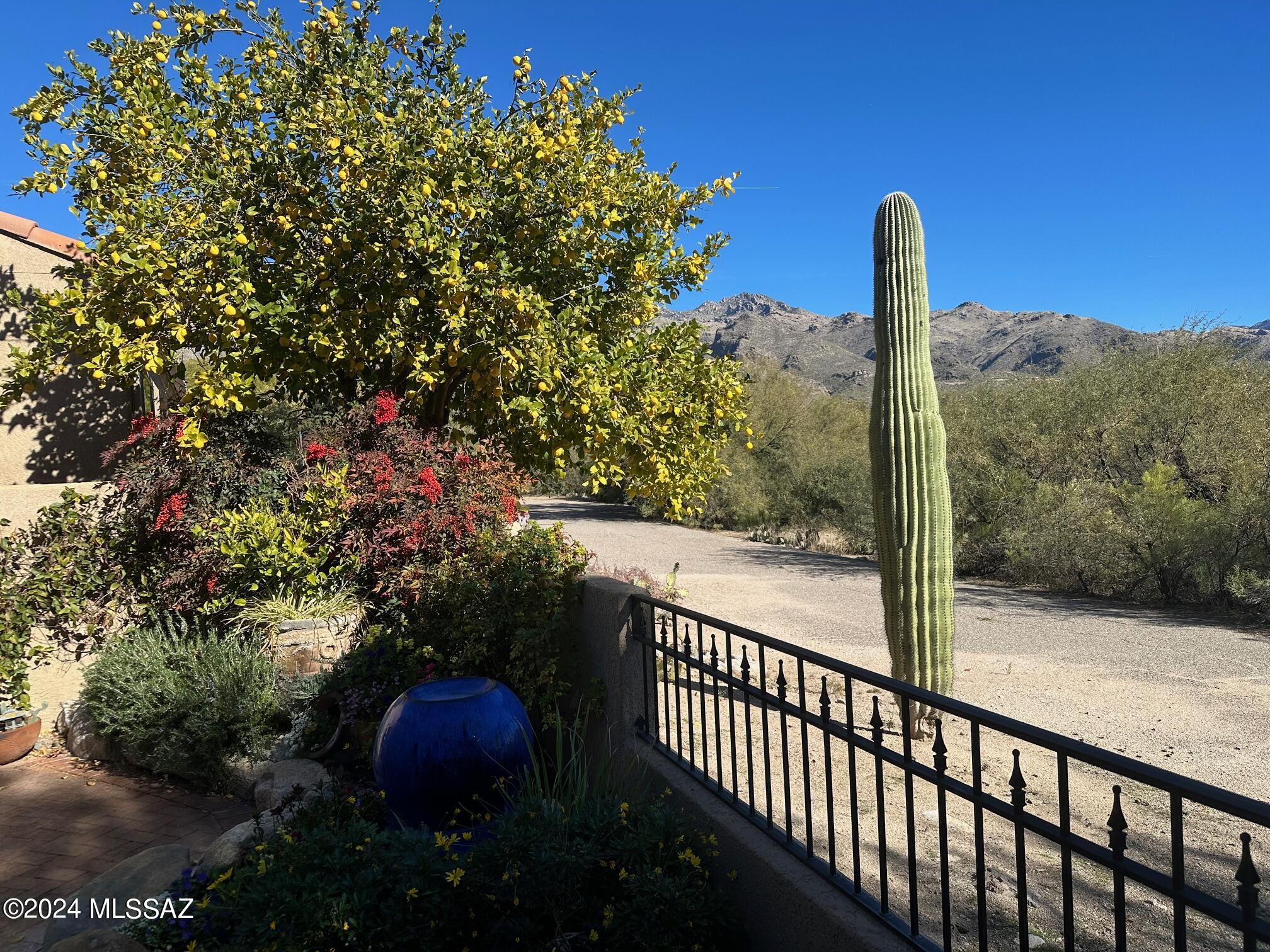 Ventana Canyon Golf Villas - Residential