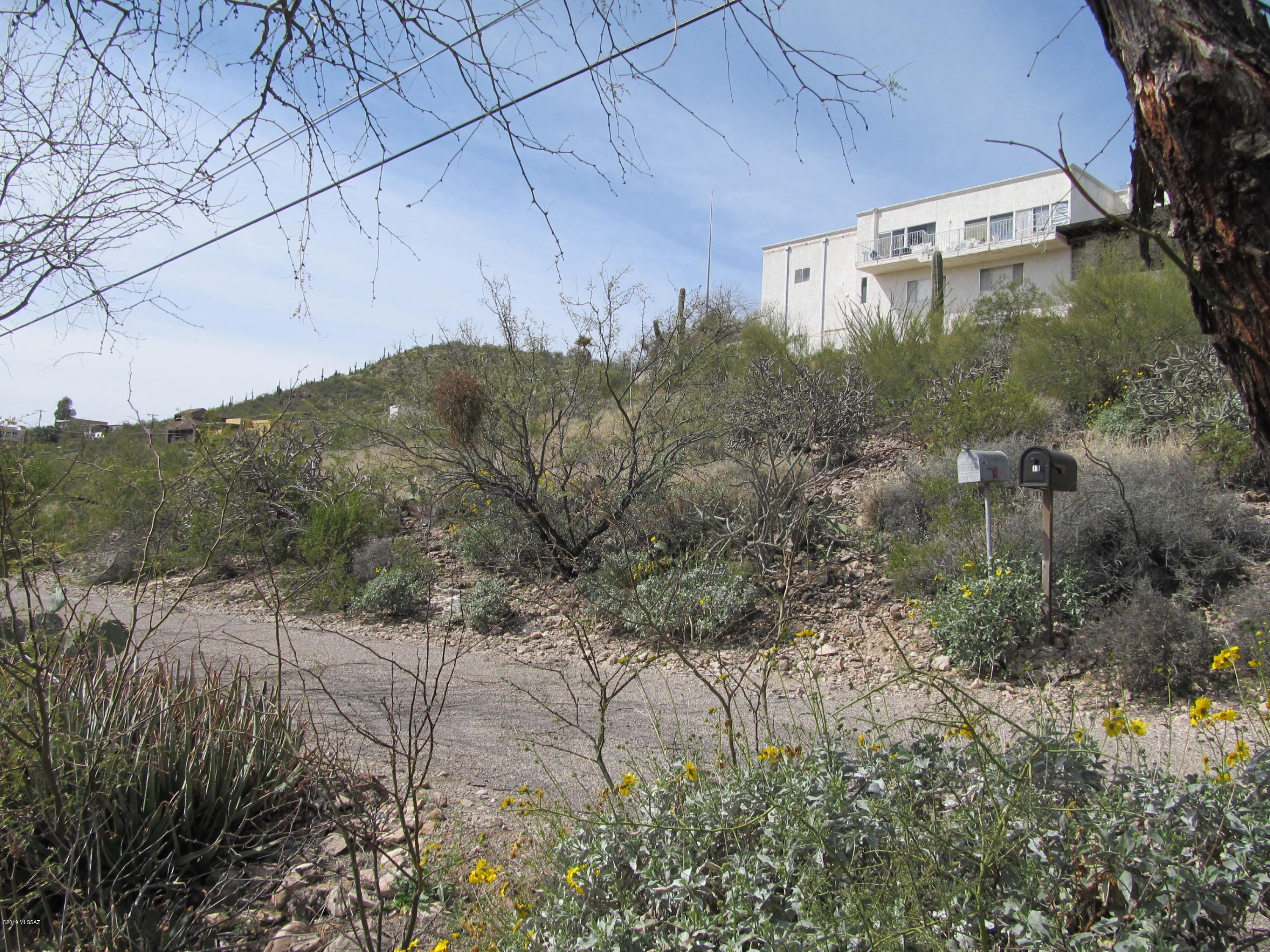Wonderful hillside double-sized lot with panoramic city and A mountain views. 200 foot long front facing the views. All utilities go right to the lot. City sewer is available. Minutes close to downtown Tucson. Located in desirable Menlo Park. All ready for your dream custom home to be built.