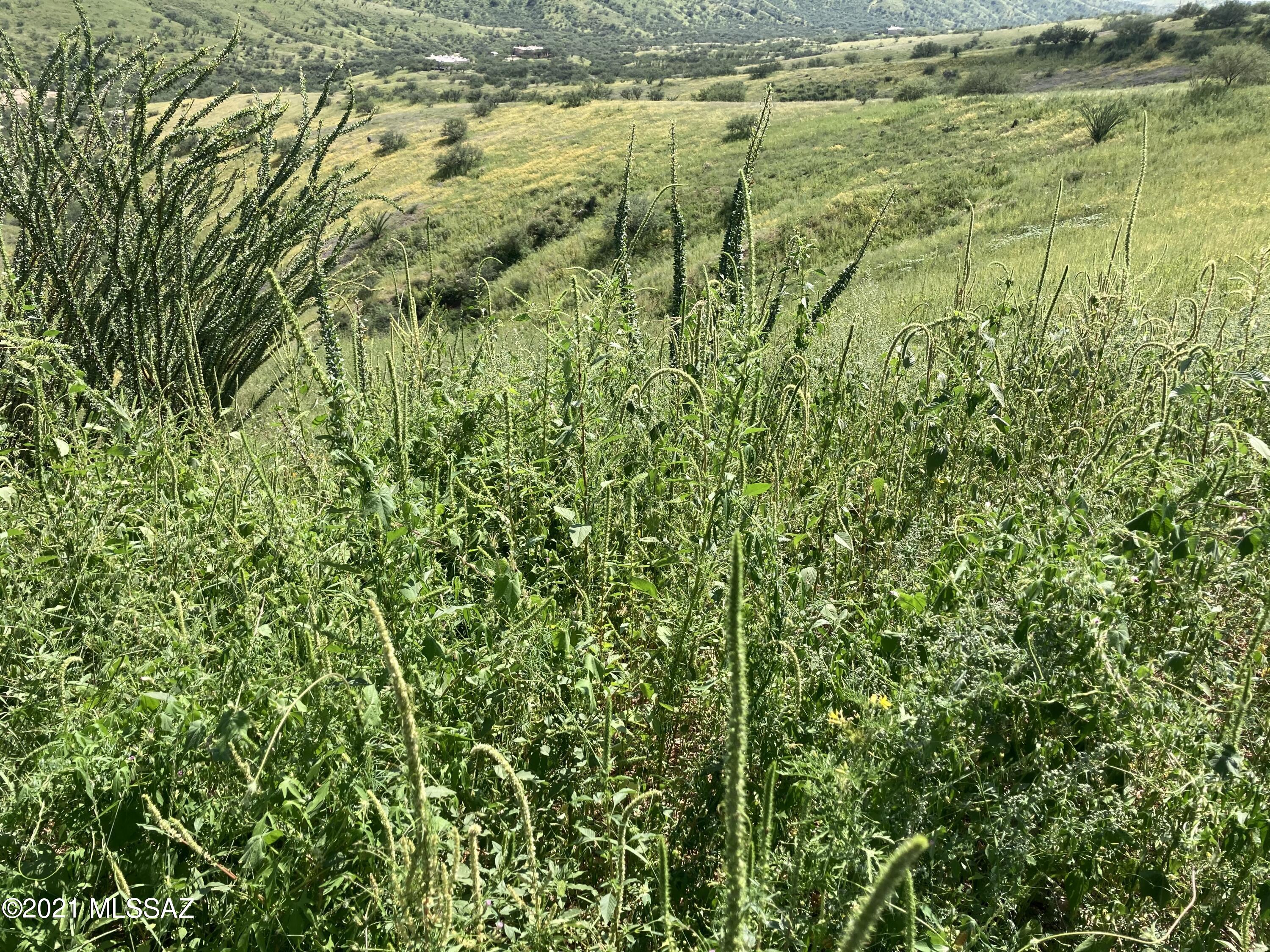 Lake Patagonia Ranch - Land