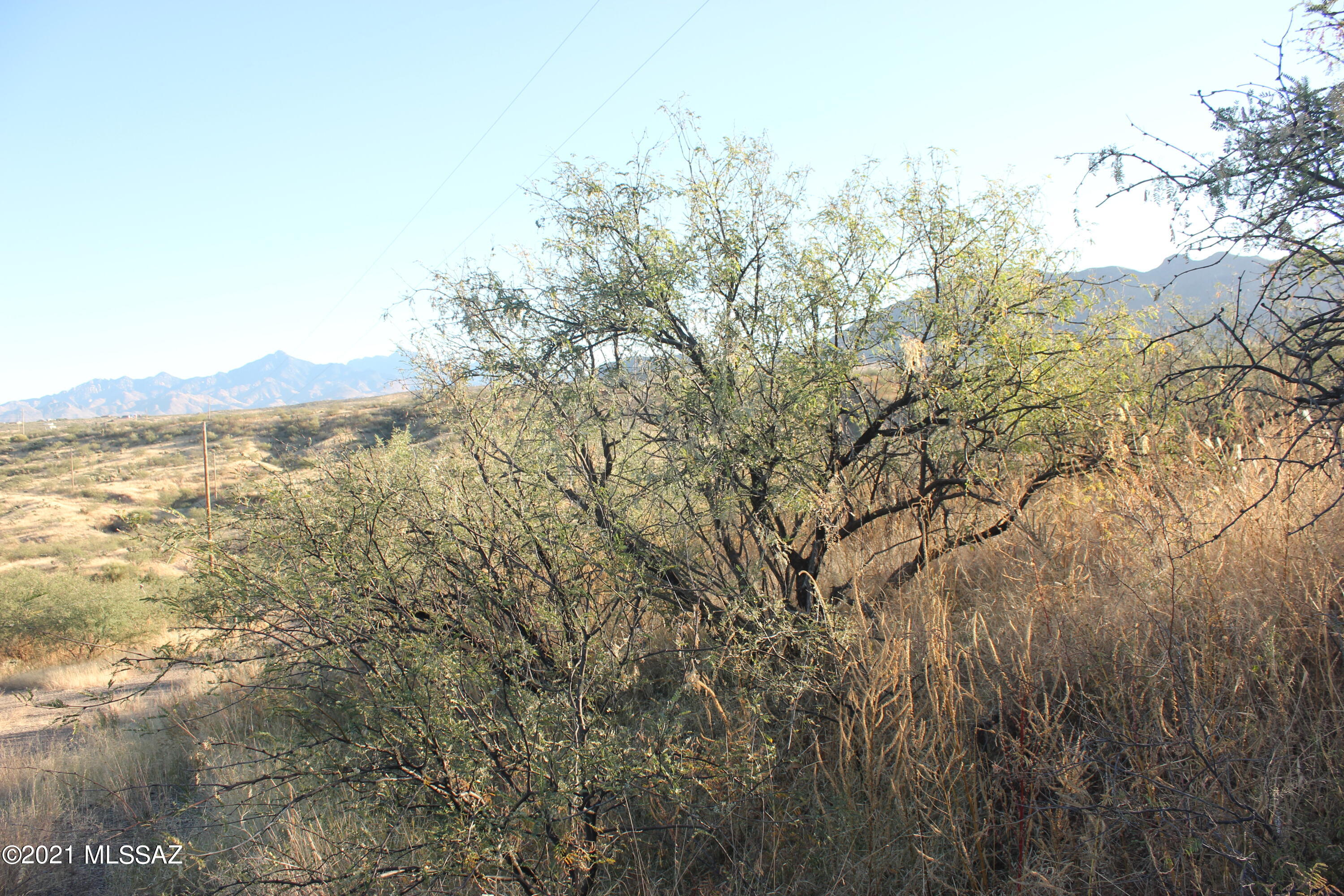 Rio Rico Ranchettes 18 - Land