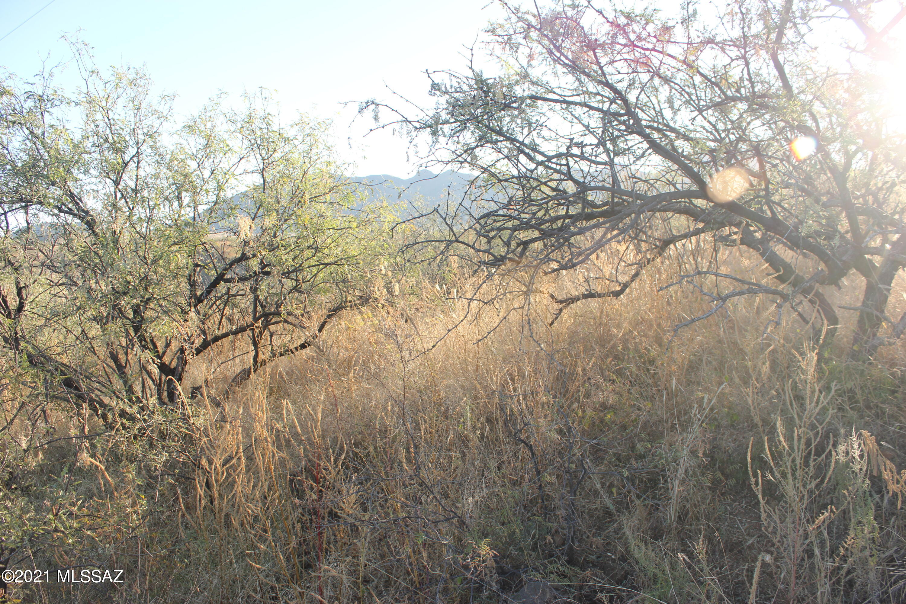 Rio Rico Ranchettes 18 - Land