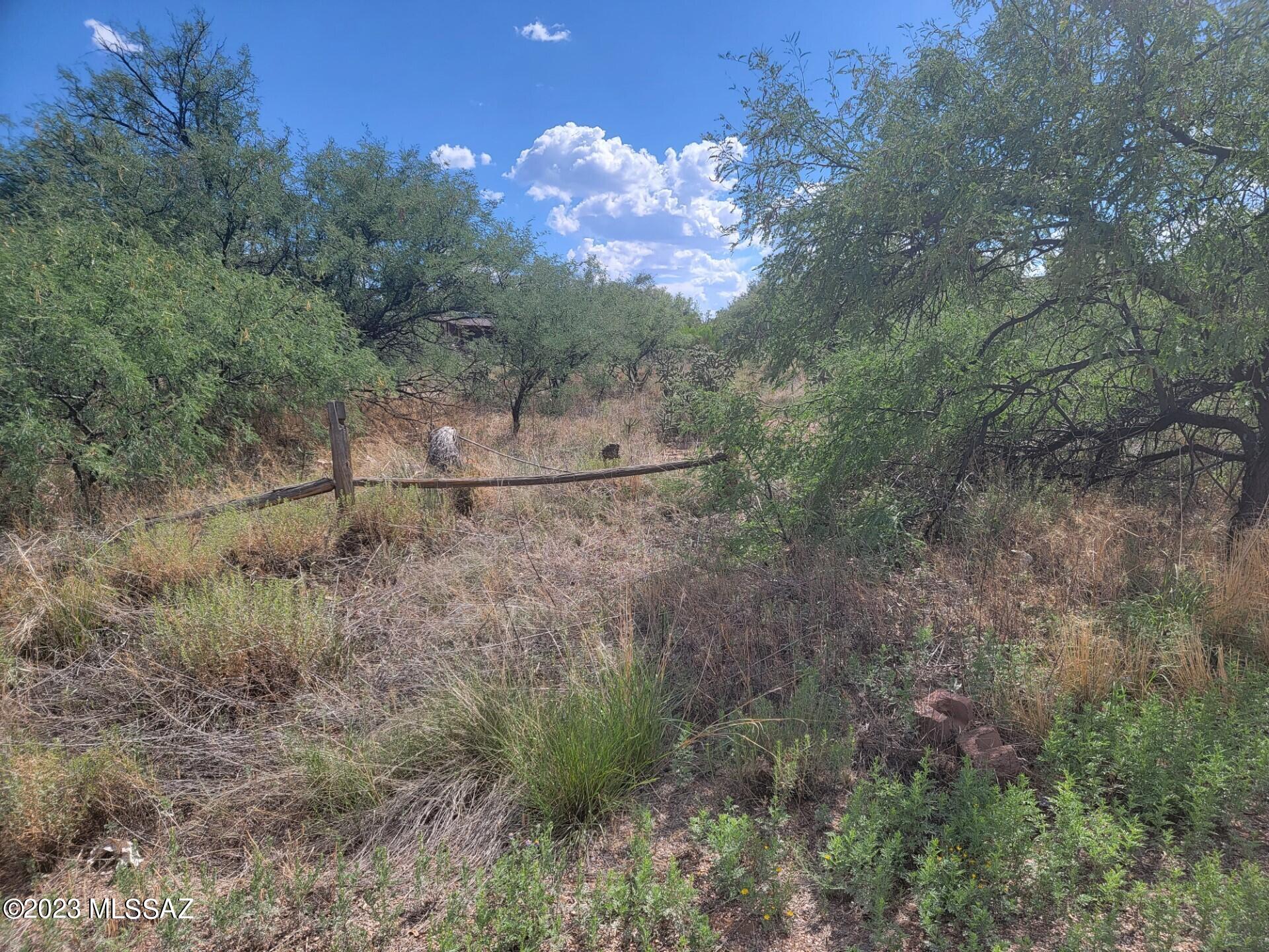 Mescal Lakes - Land
