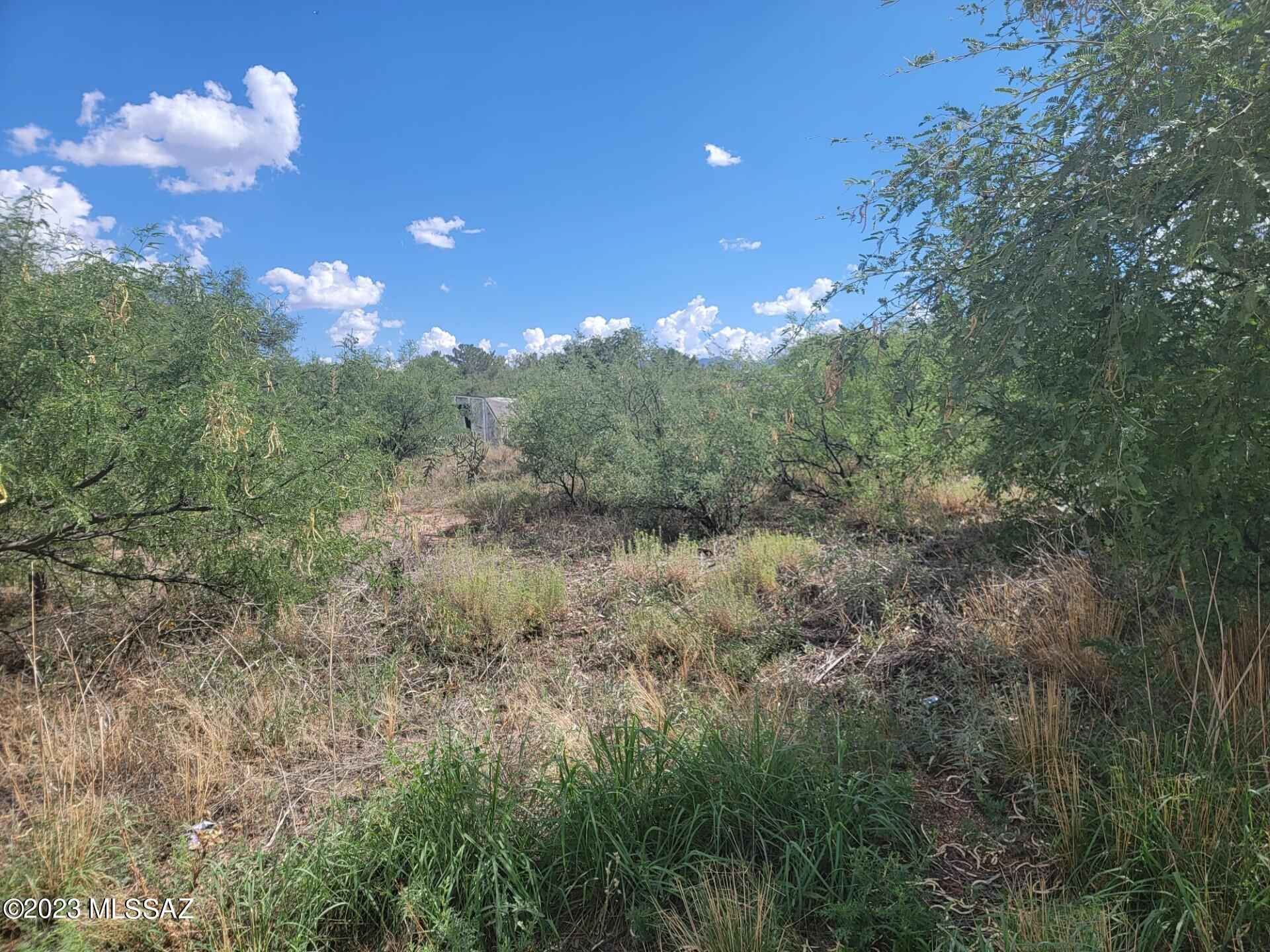 Mescal Lakes - Land