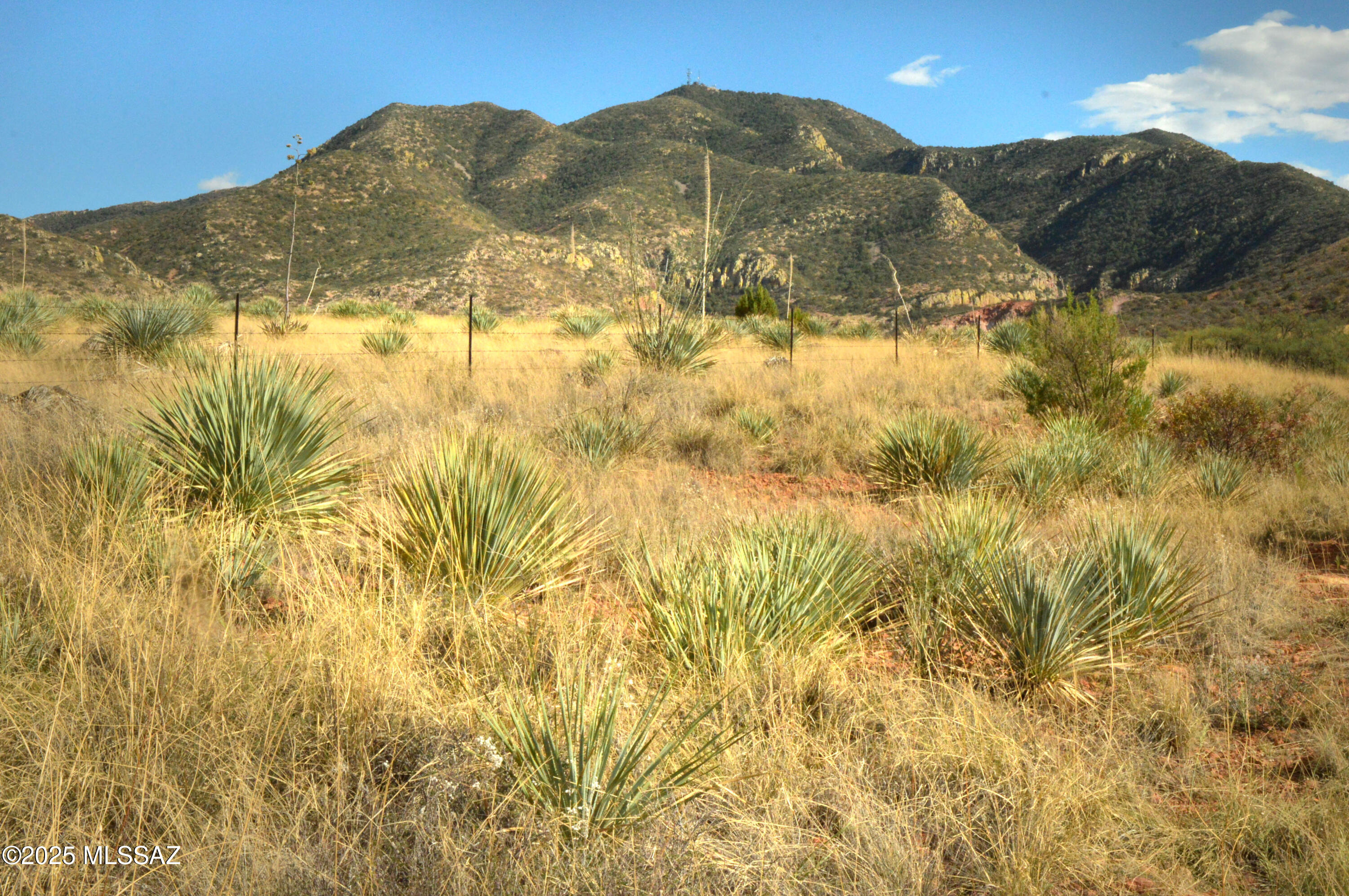 Mesa (The) - Land