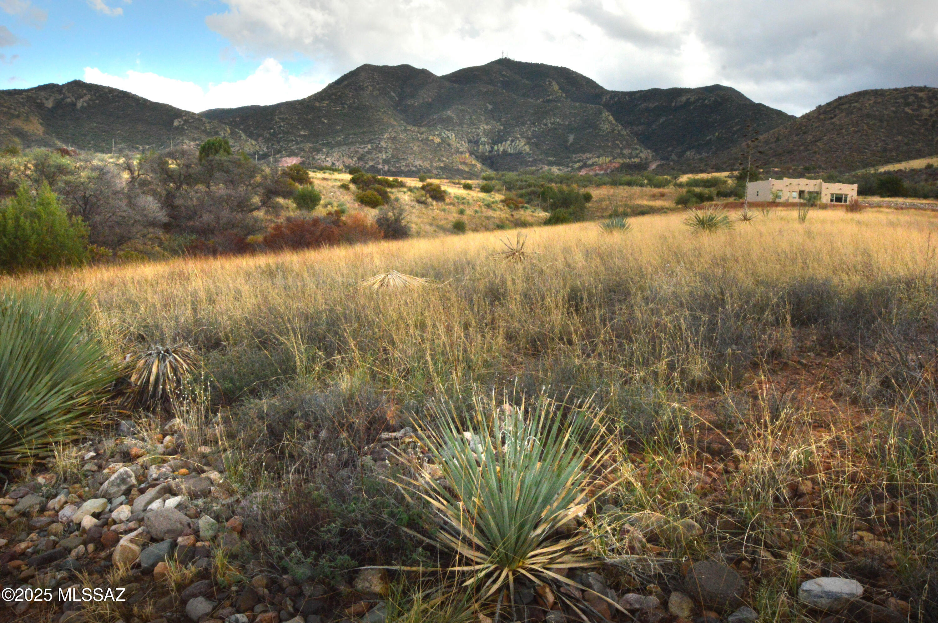 Mesa (The) - Land