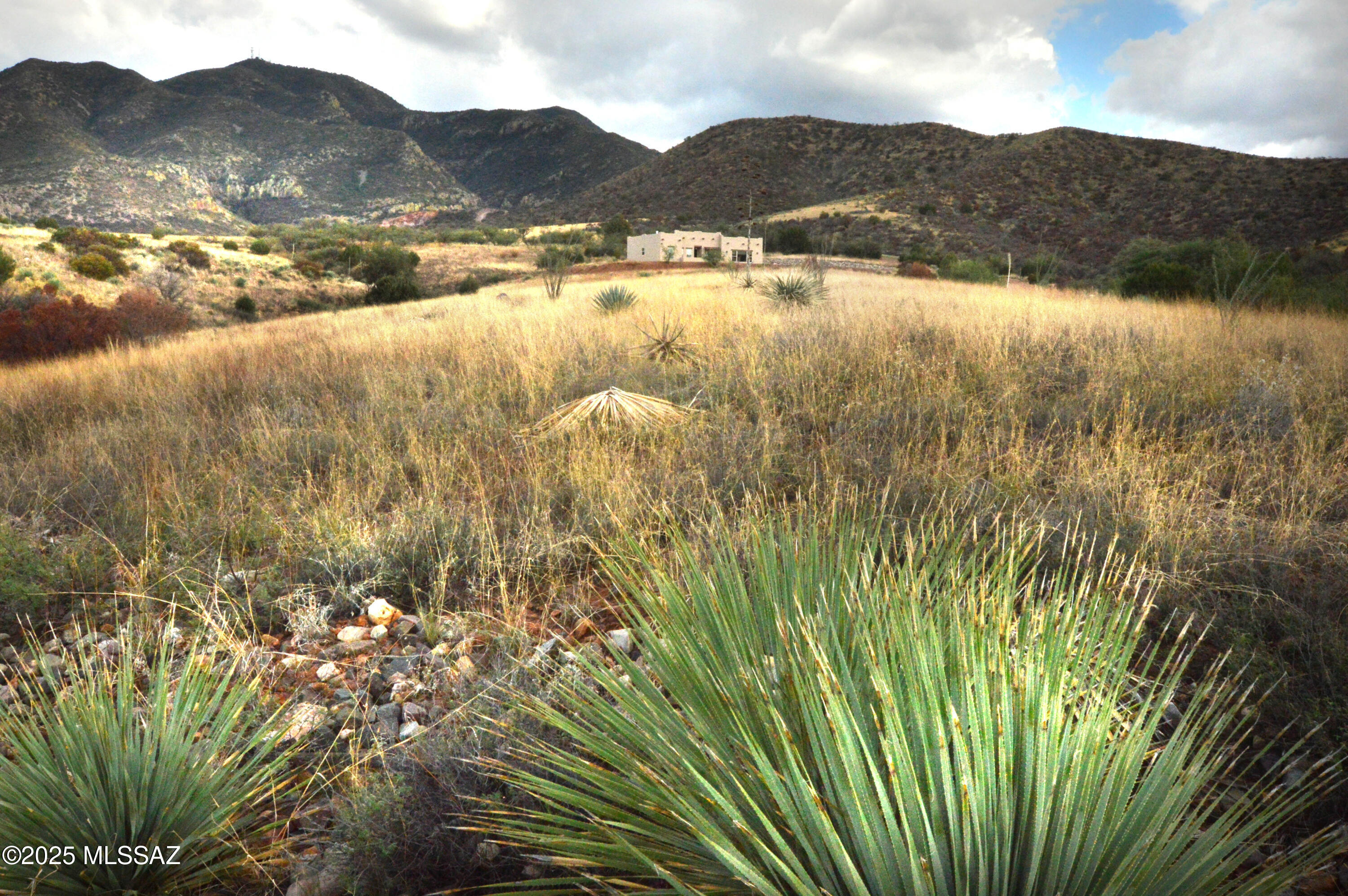 Mesa (The) - Land