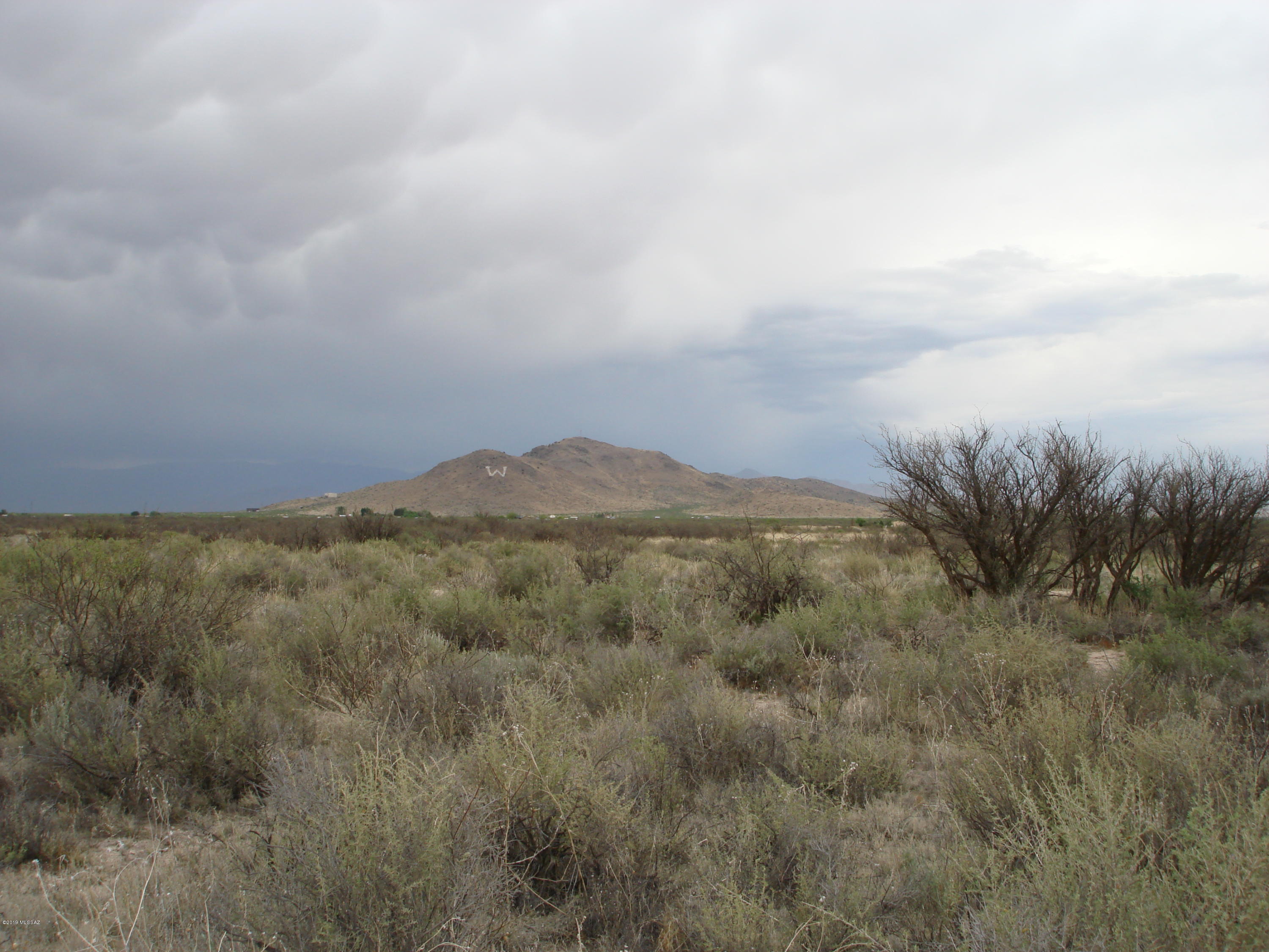 Far Northern 158 */- acres of high desert land, ready to be put into production with organic crops, trees, grapes or conventional farming. Also, has future development potential in a nice location close to town of Old Stewart and Circle I Roads. This location is where Willcox is expanding and is only three miles from two Interstate I10 interchanges. It is 90 miles east of Tucson and 200 miles west of El Paso, Texas
A member of the Willcox 747, LLC is a licensed Real Estate Broker in the state of Arizona.