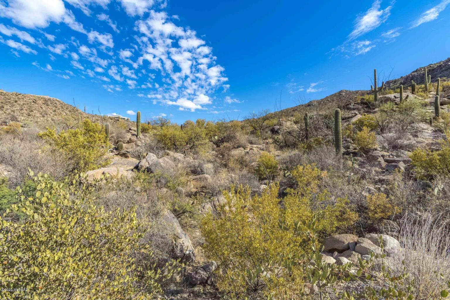 Canyon Pass IIIB At Dove Mountain - Land
