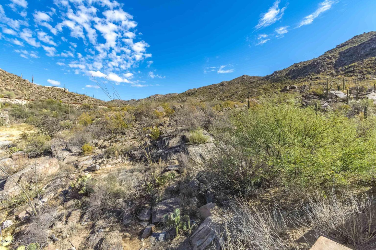 Canyon Pass IIIB At Dove Mountain - Land