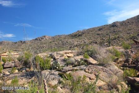 Canyon Pass IIIB At Dove Mountain - Land