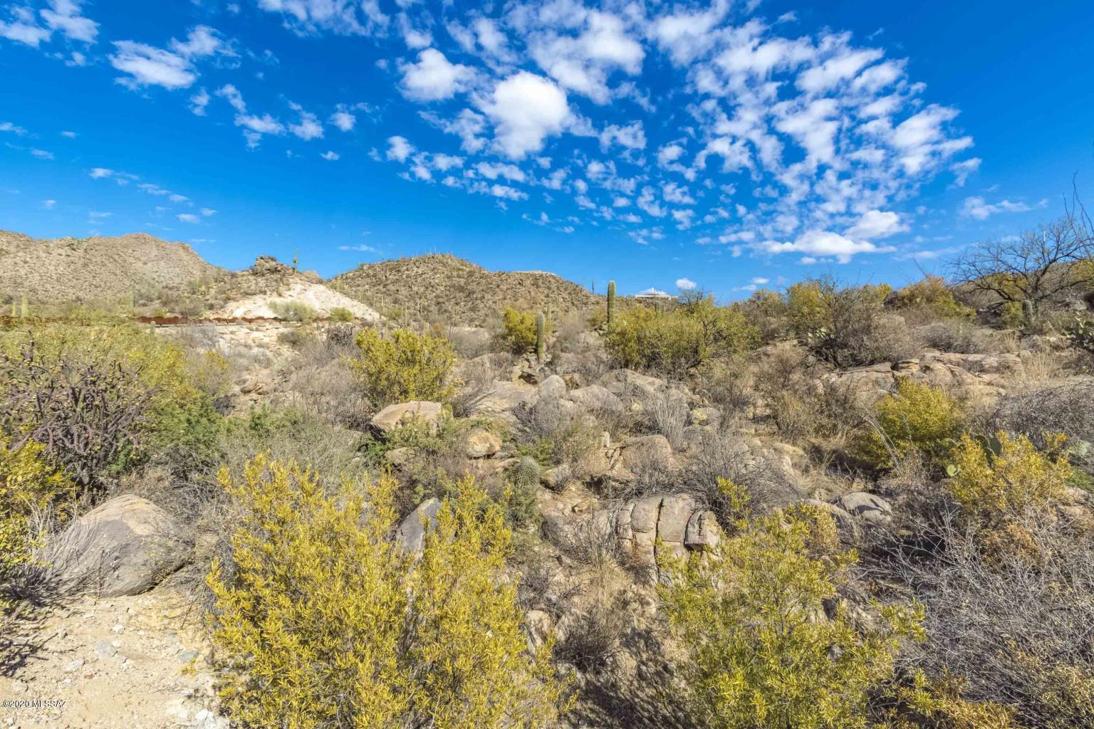 Canyon Pass IIIB At Dove Mountain - Land